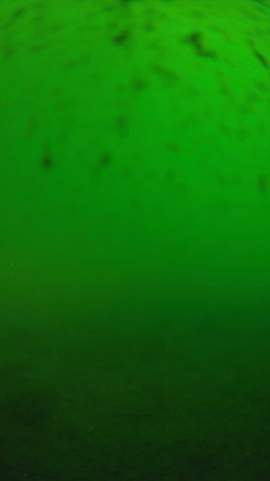 lander_ipcam_20240625163606.png