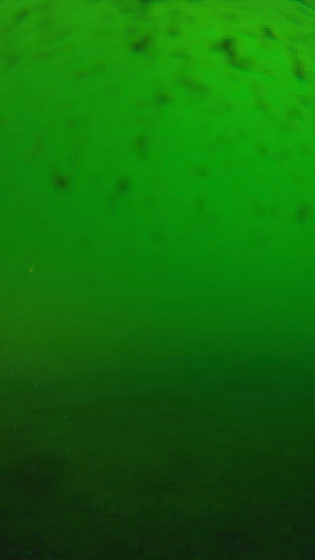 lander_ipcam_20240625170539.png