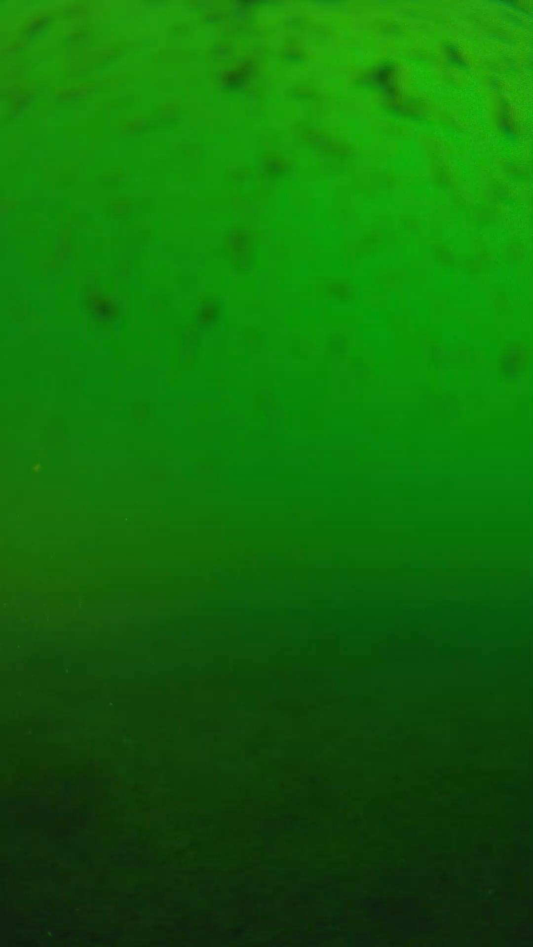 lander_ipcam_20240625170540.png