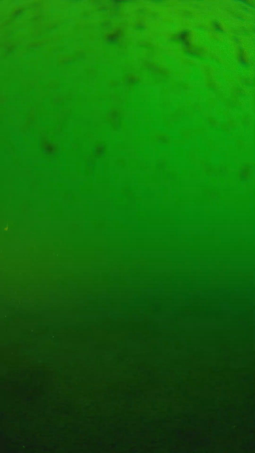 lander_ipcam_20240625170541.png
