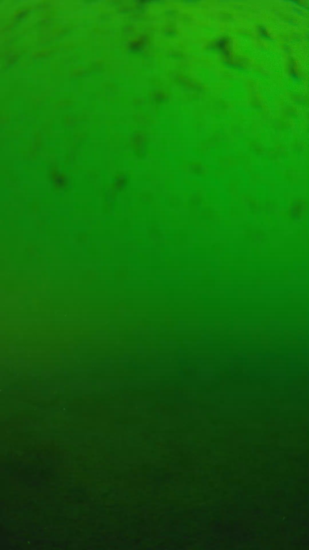 lander_ipcam_20240625170542.png