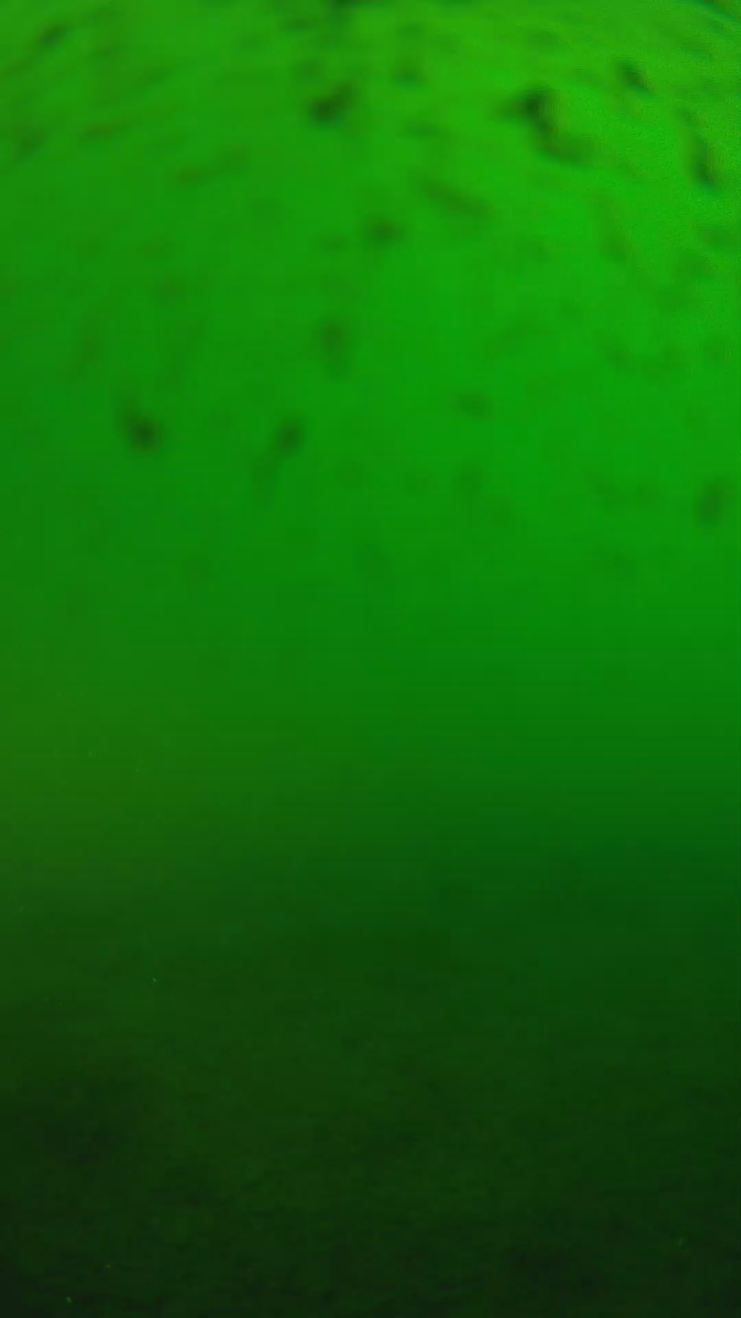 lander_ipcam_20240625170543.png