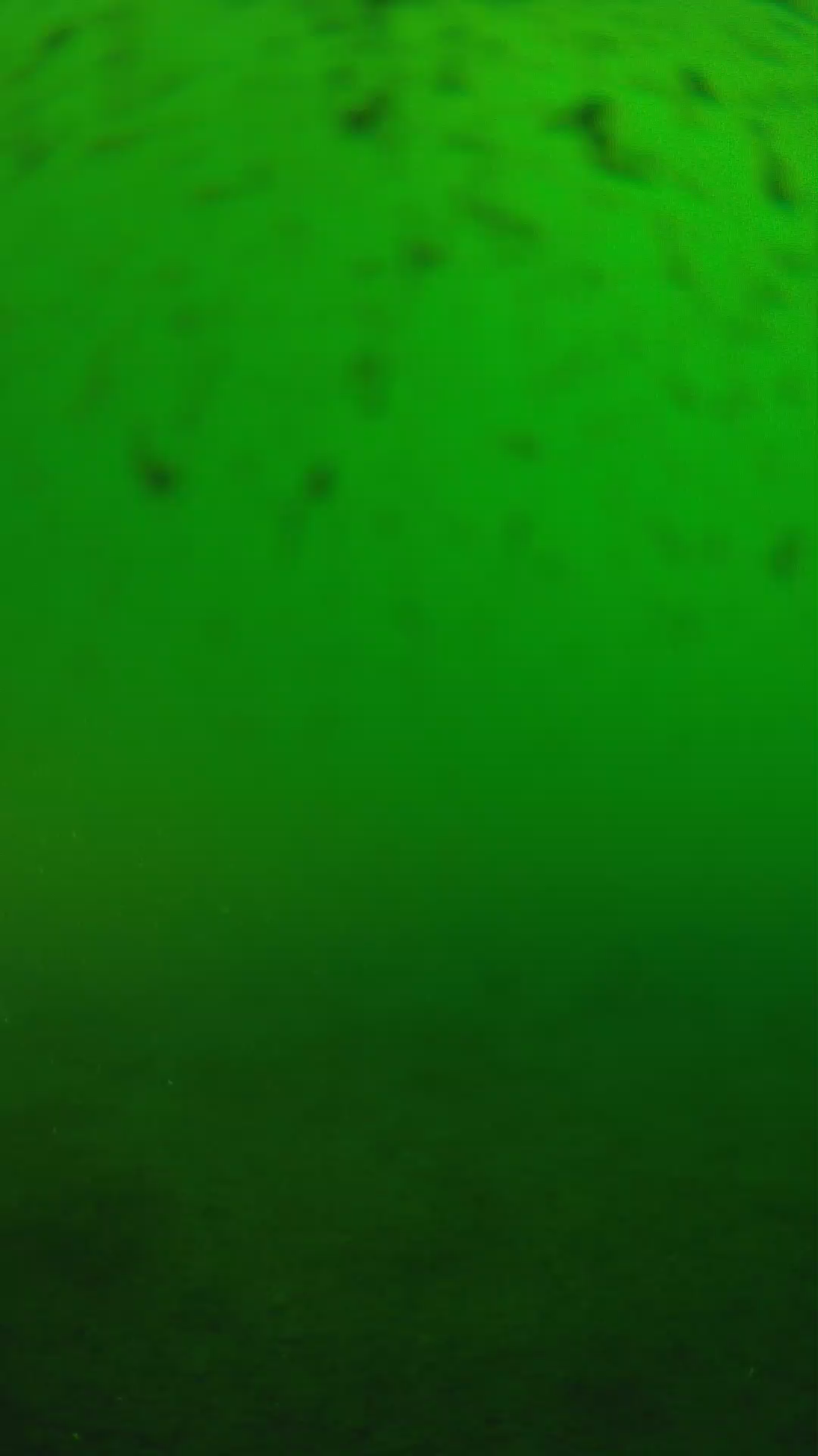 lander_ipcam_20240625170544.png