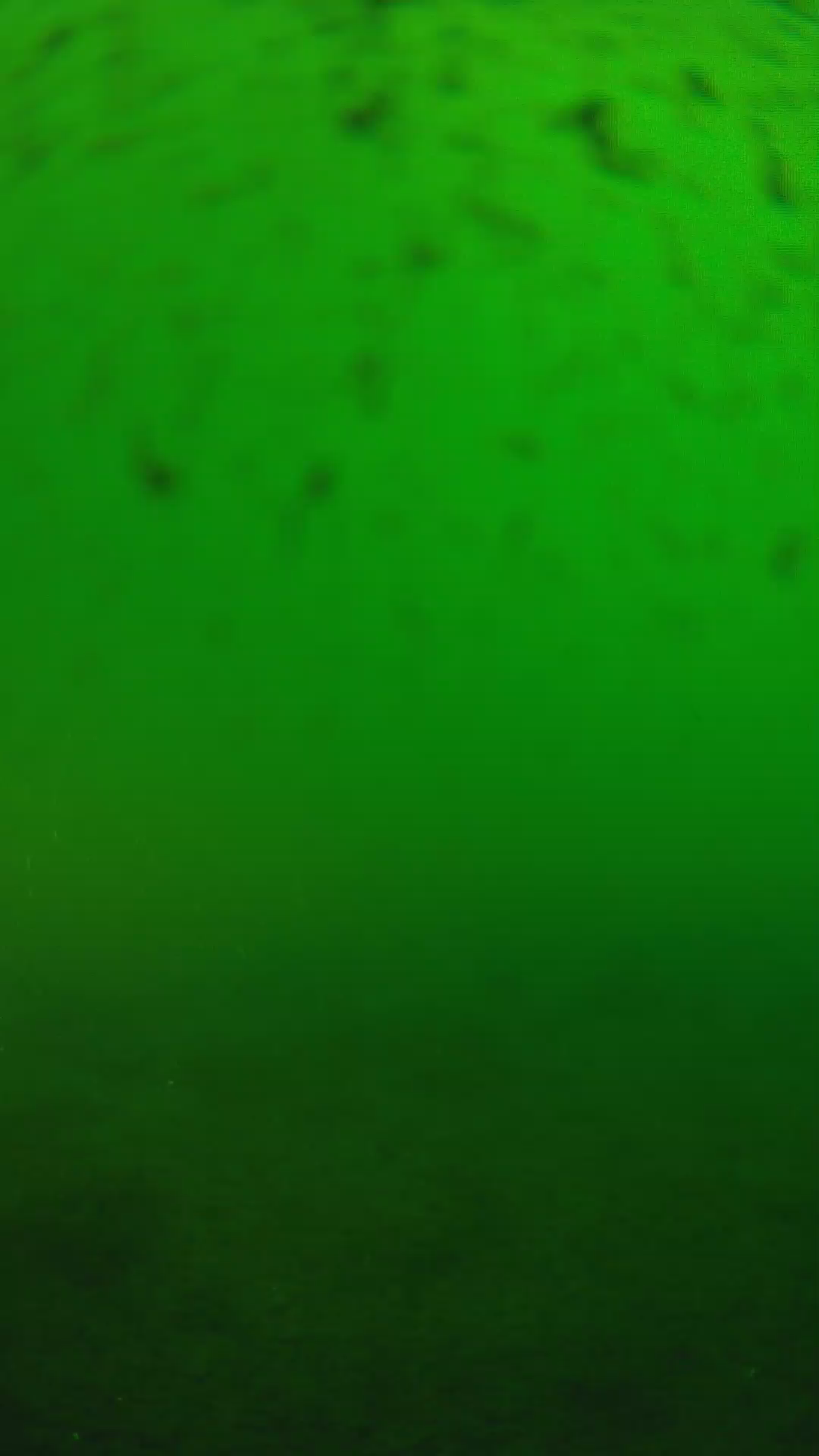 lander_ipcam_20240625170546.png
