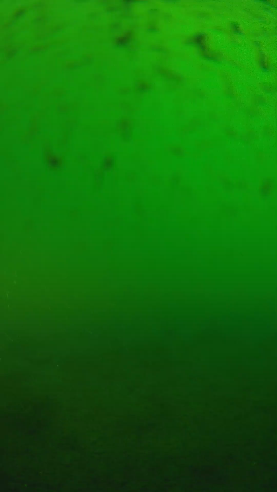 lander_ipcam_20240625170547.png