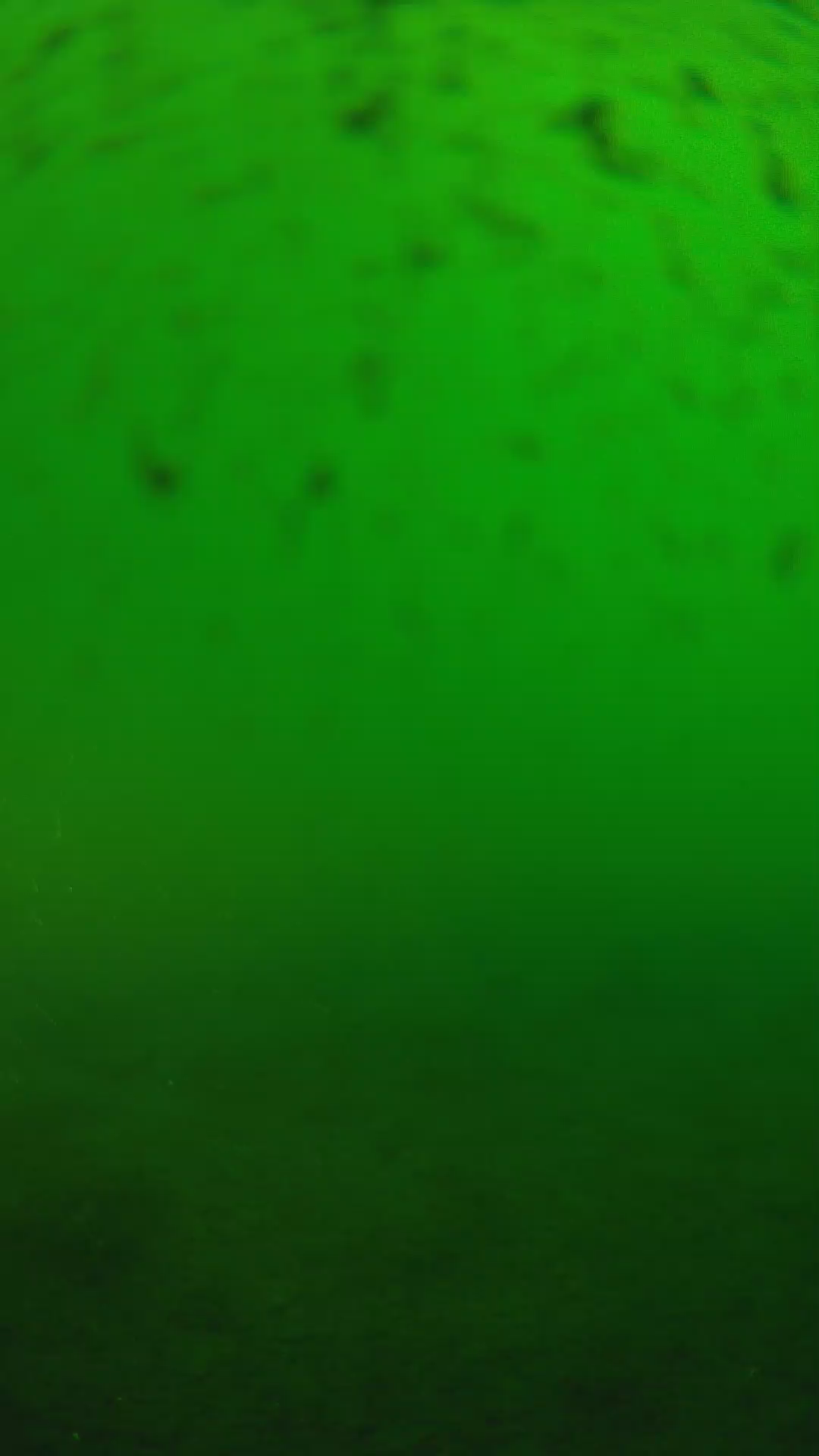 lander_ipcam_20240625170548.png