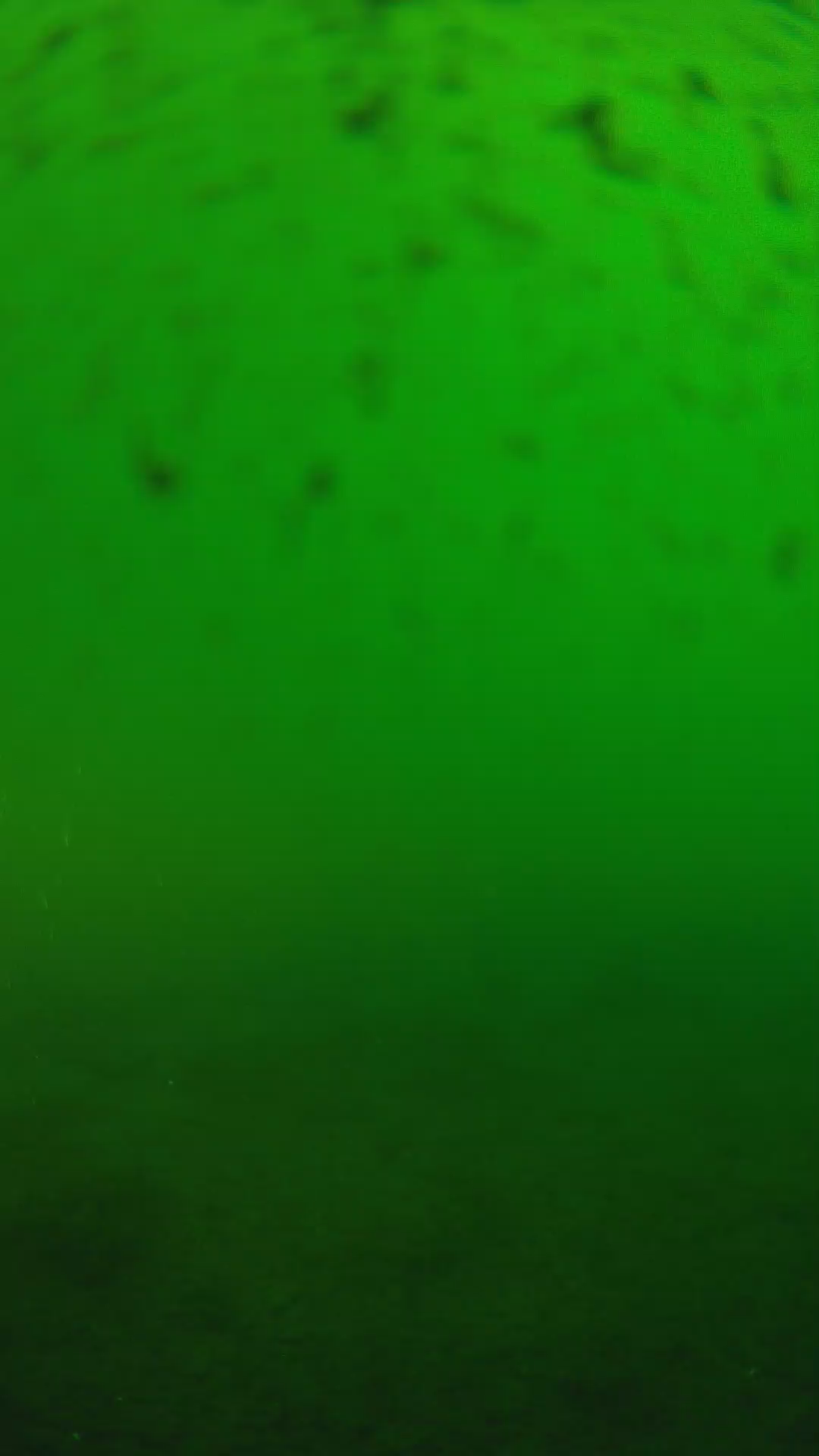 lander_ipcam_20240625170549.png