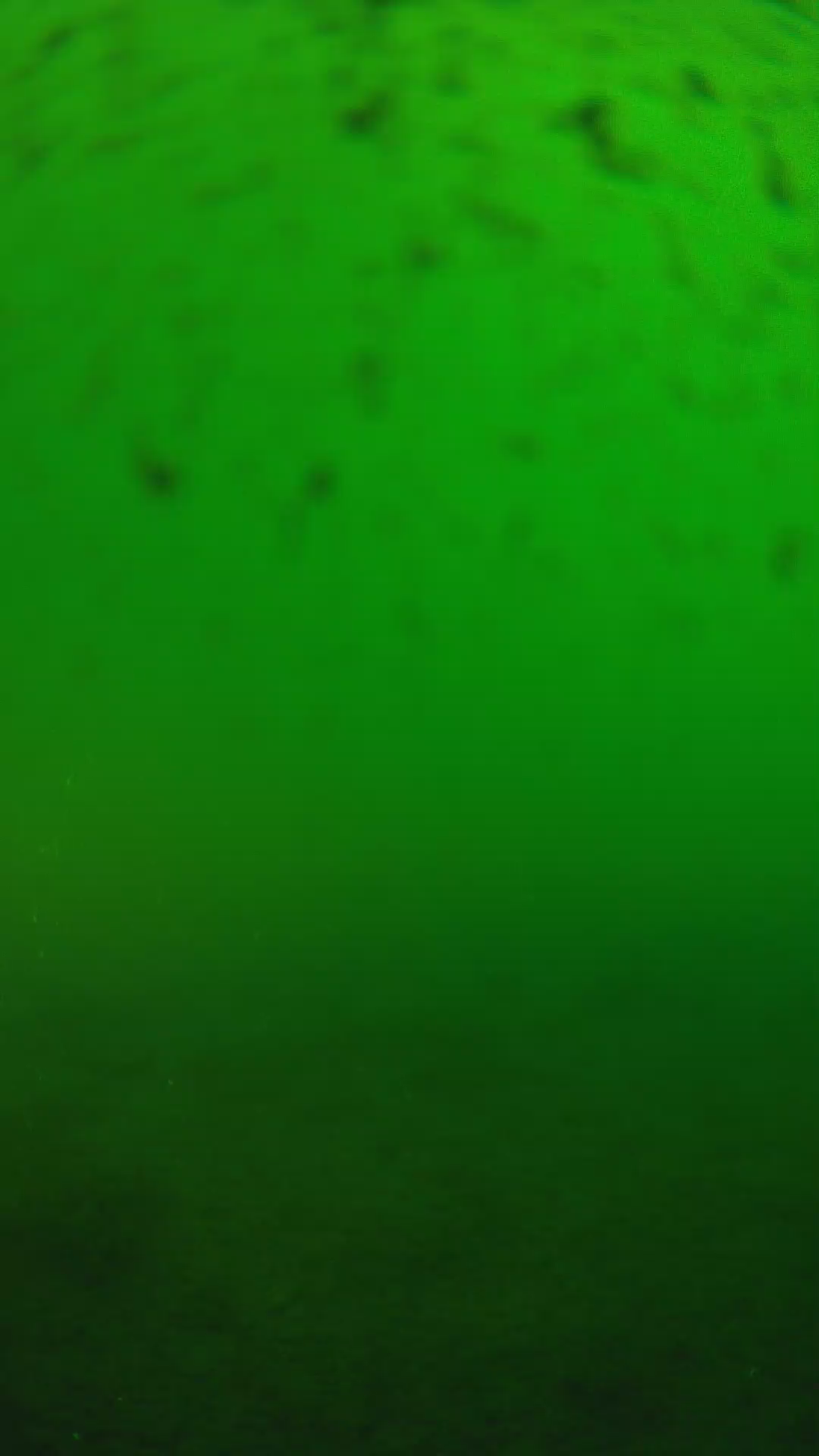 lander_ipcam_20240625170550.png