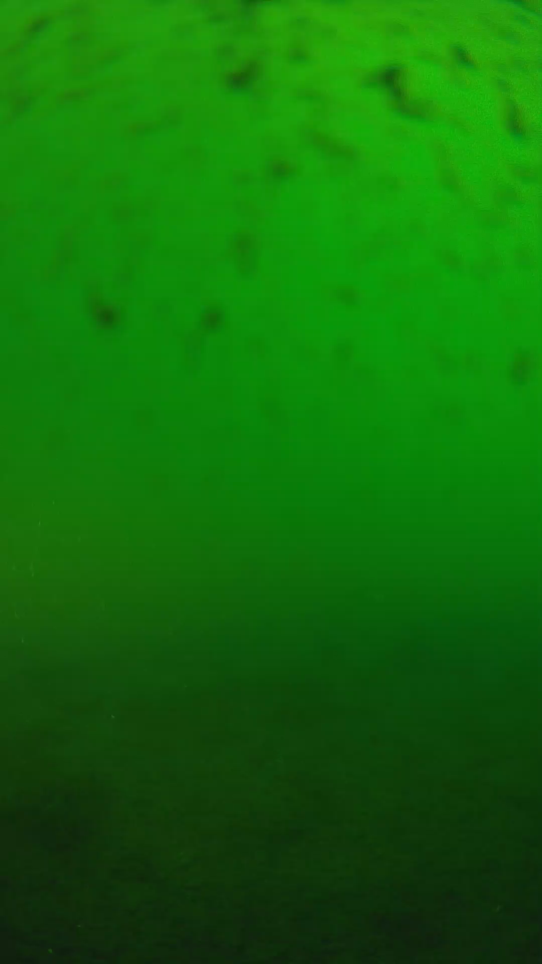 lander_ipcam_20240625170551.png