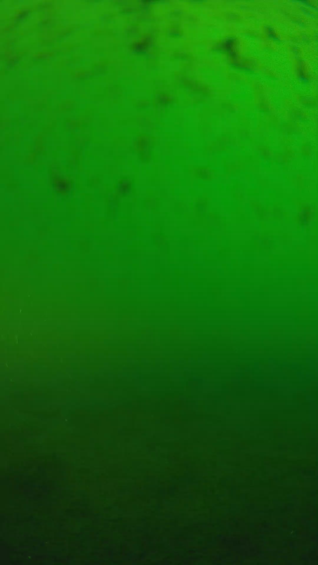 lander_ipcam_20240625170552.png