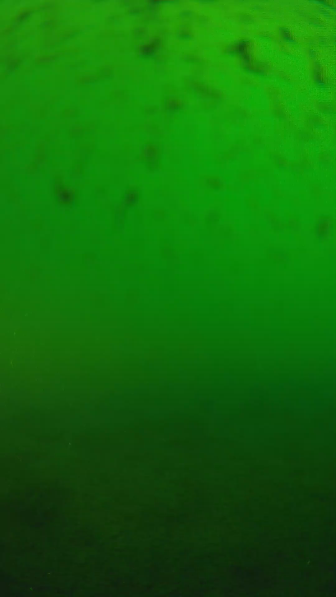 lander_ipcam_20240625170553.png