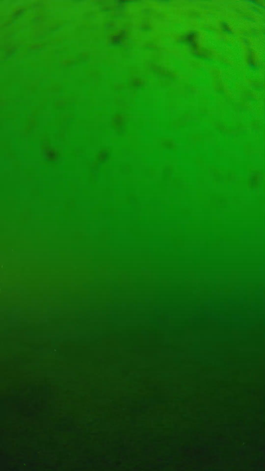 lander_ipcam_20240625170554.png