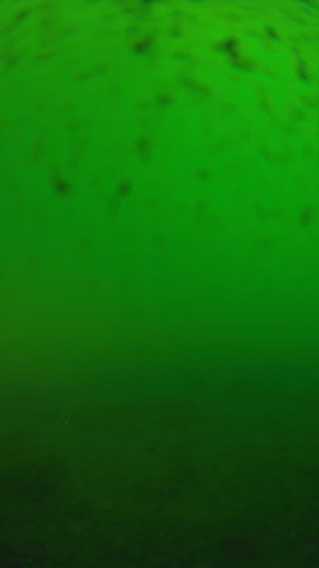 lander_ipcam_20240625170555.png