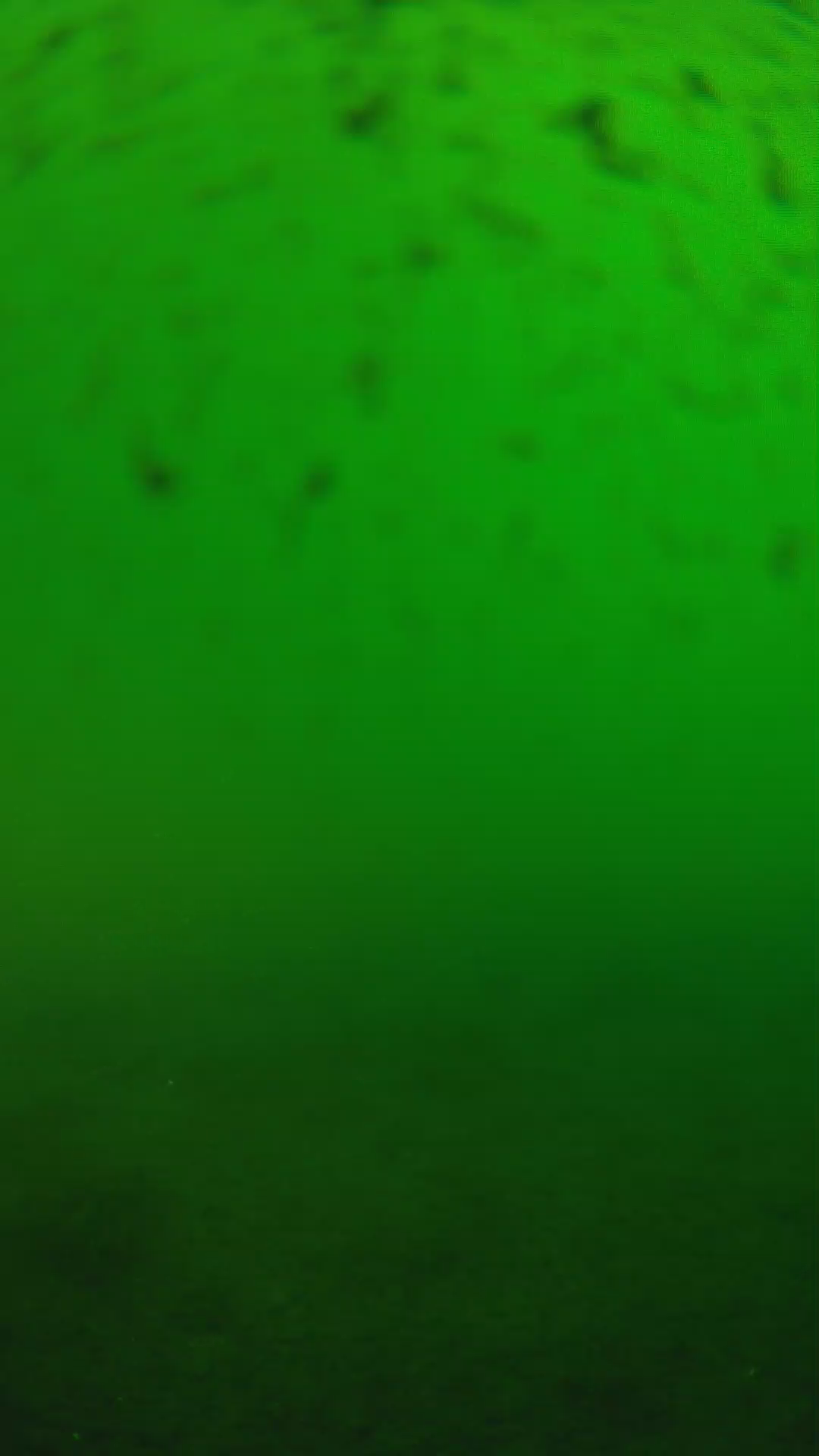lander_ipcam_20240625170557.png
