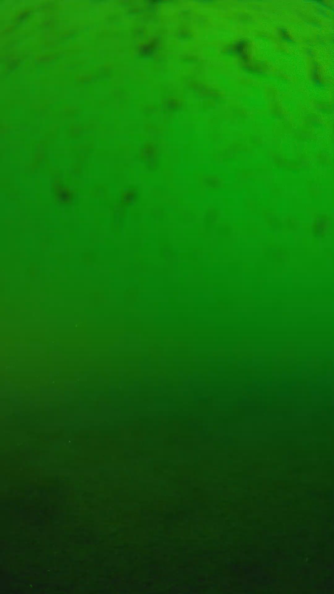 lander_ipcam_20240625170558.png
