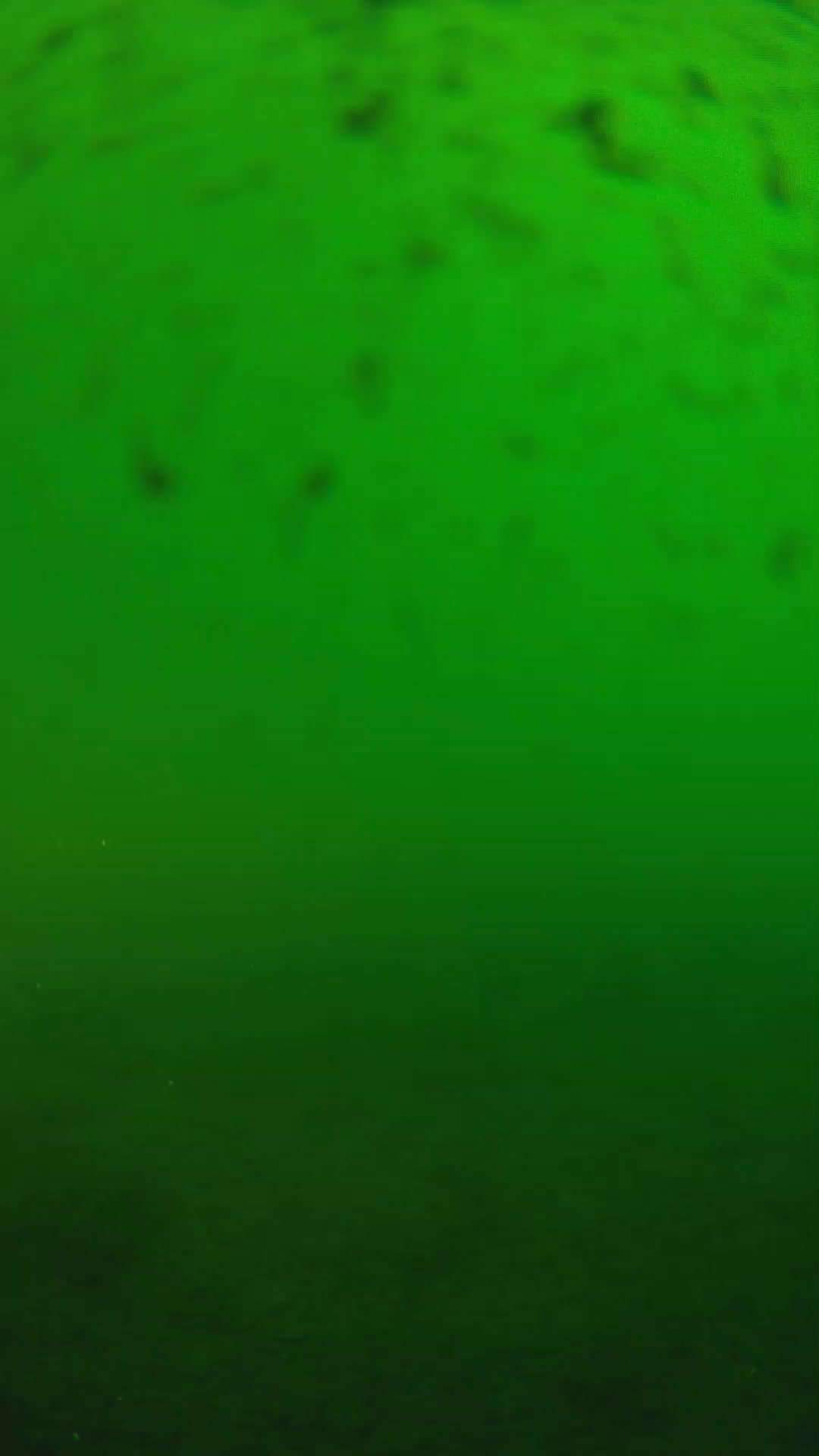 lander_ipcam_20240625170600.png