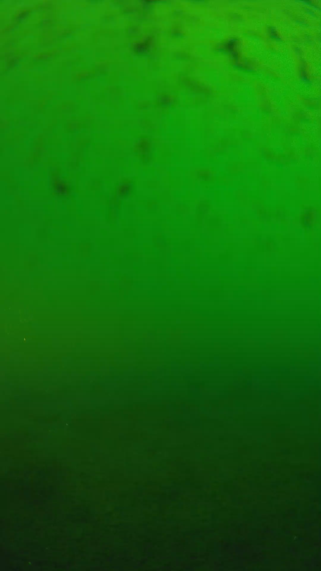 lander_ipcam_20240625170601.png