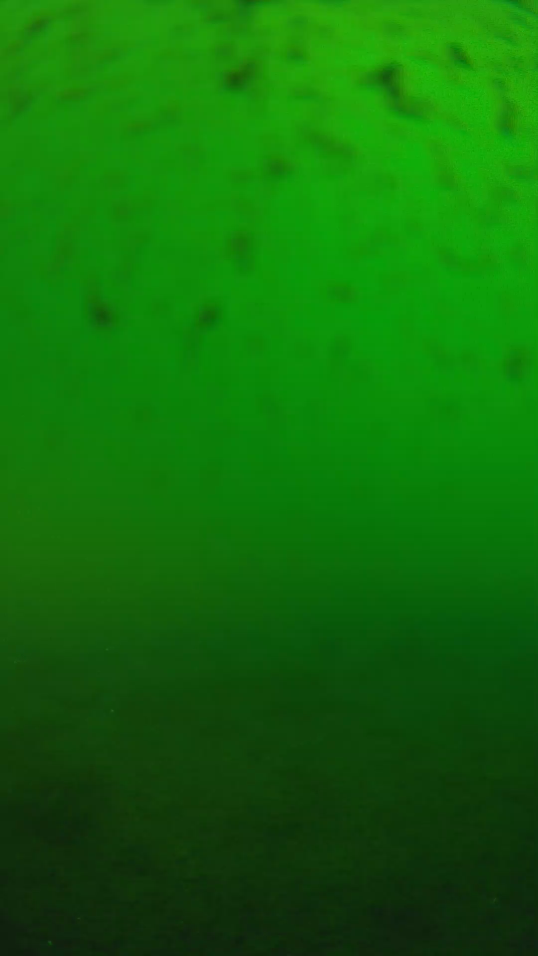 lander_ipcam_20240625170603.png