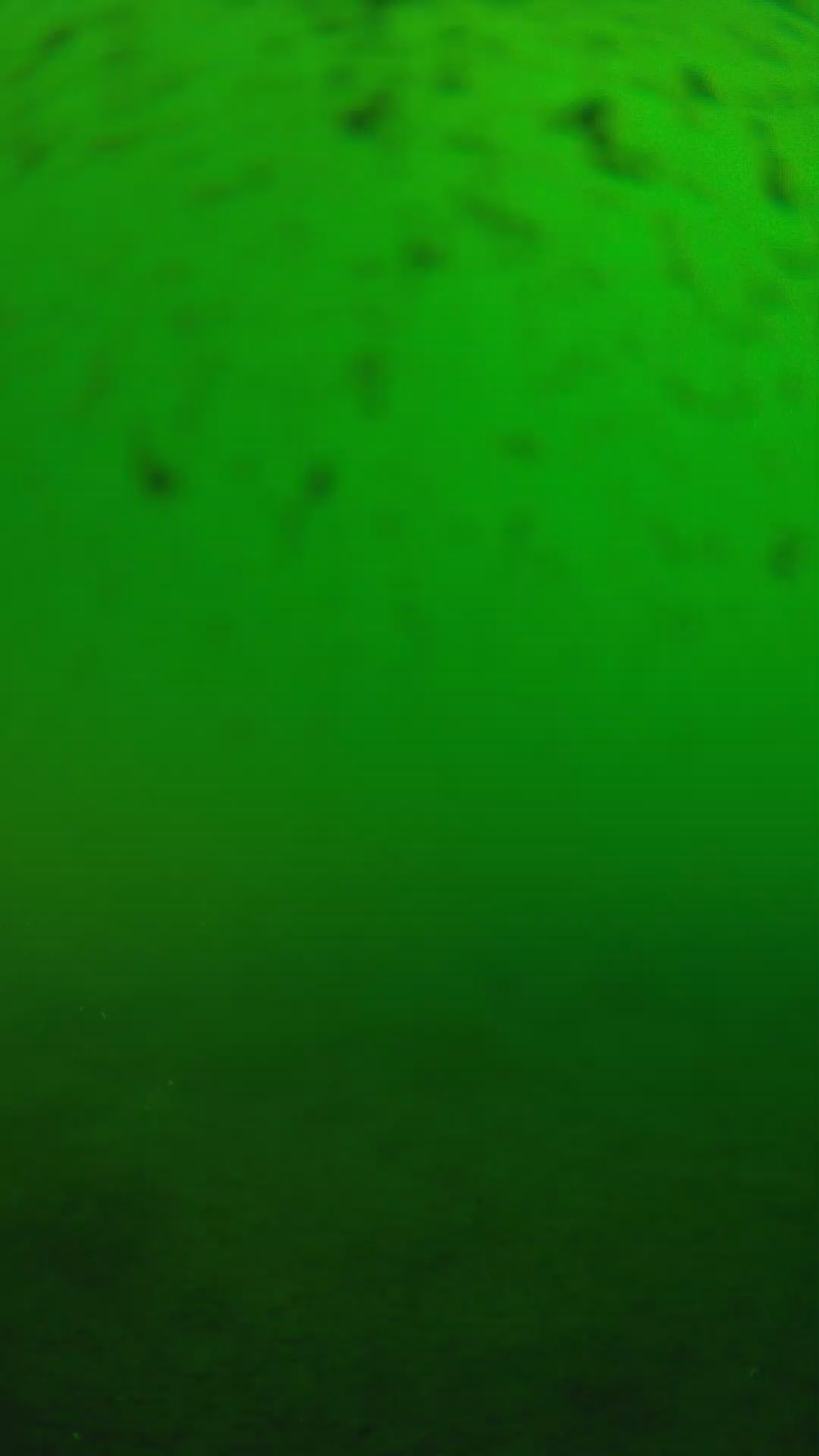 lander_ipcam_20240625170606.png