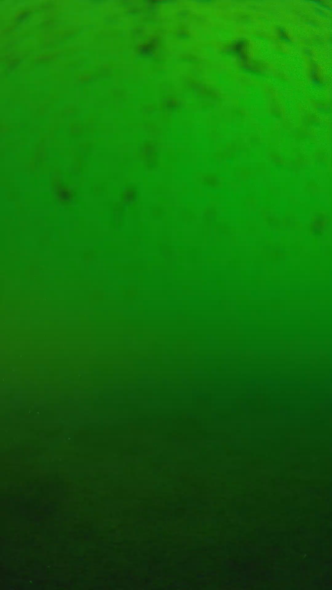lander_ipcam_20240625170607.png