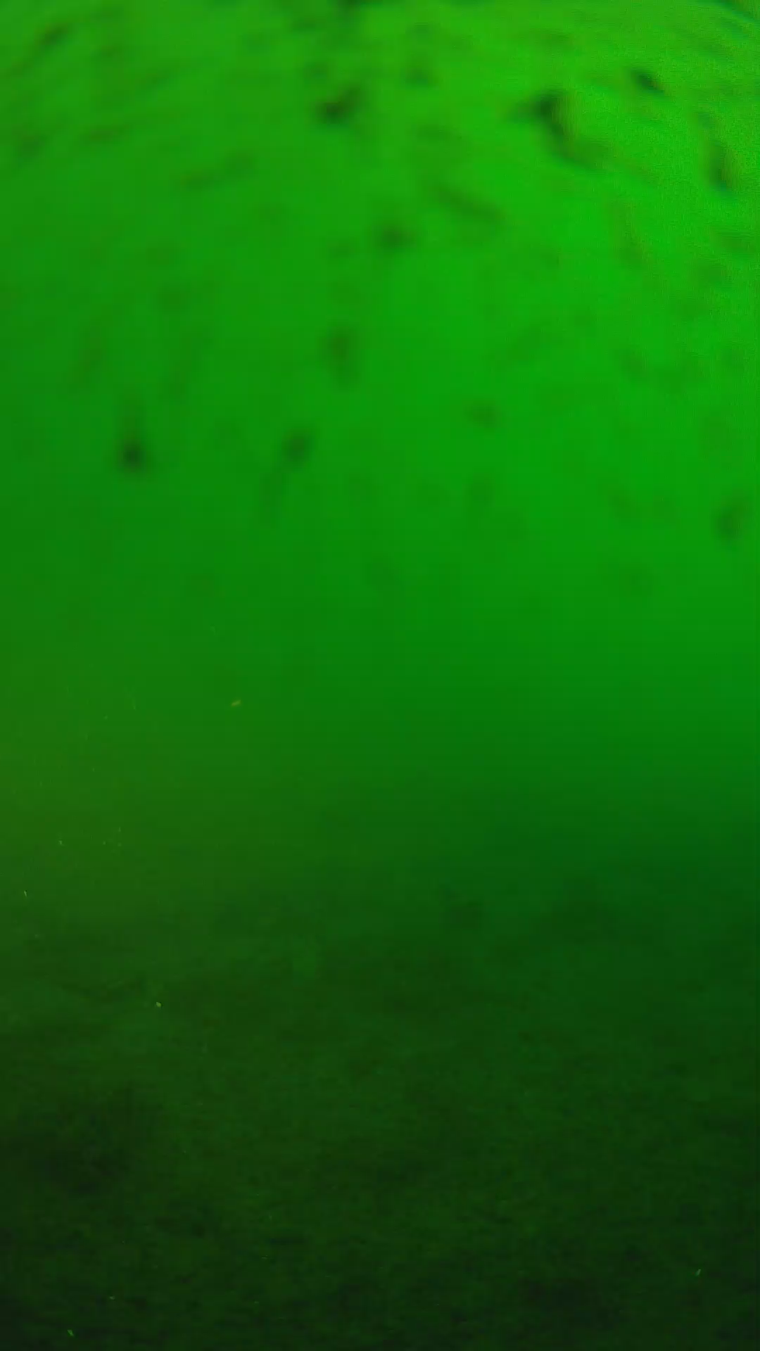 lander_ipcam_20240625173543.png