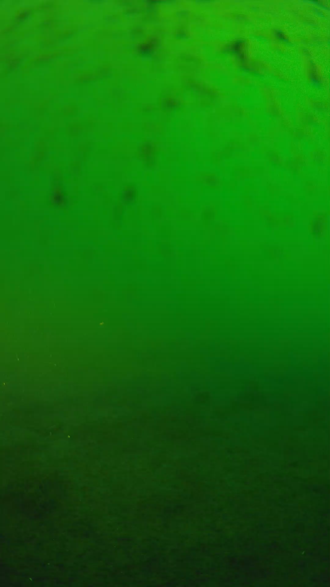 lander_ipcam_20240625173545.png