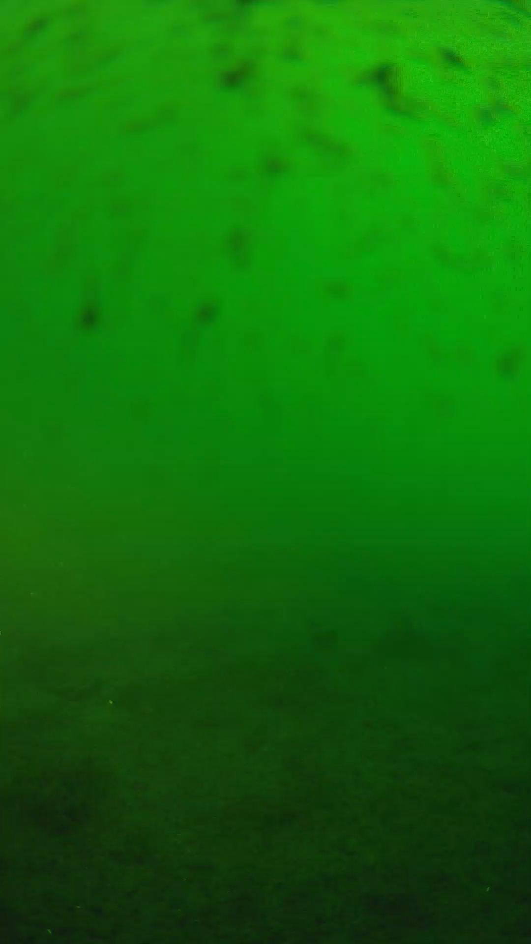 lander_ipcam_20240625173552.png