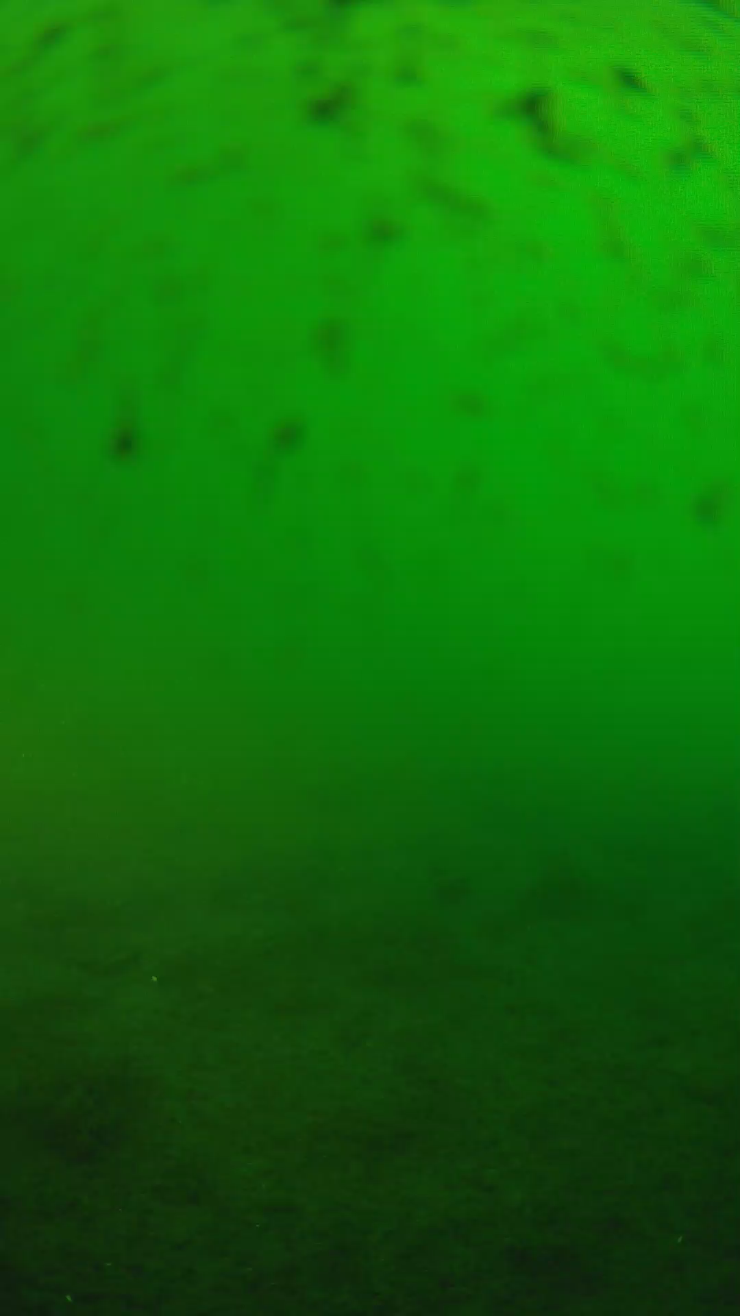lander_ipcam_20240625173553.png