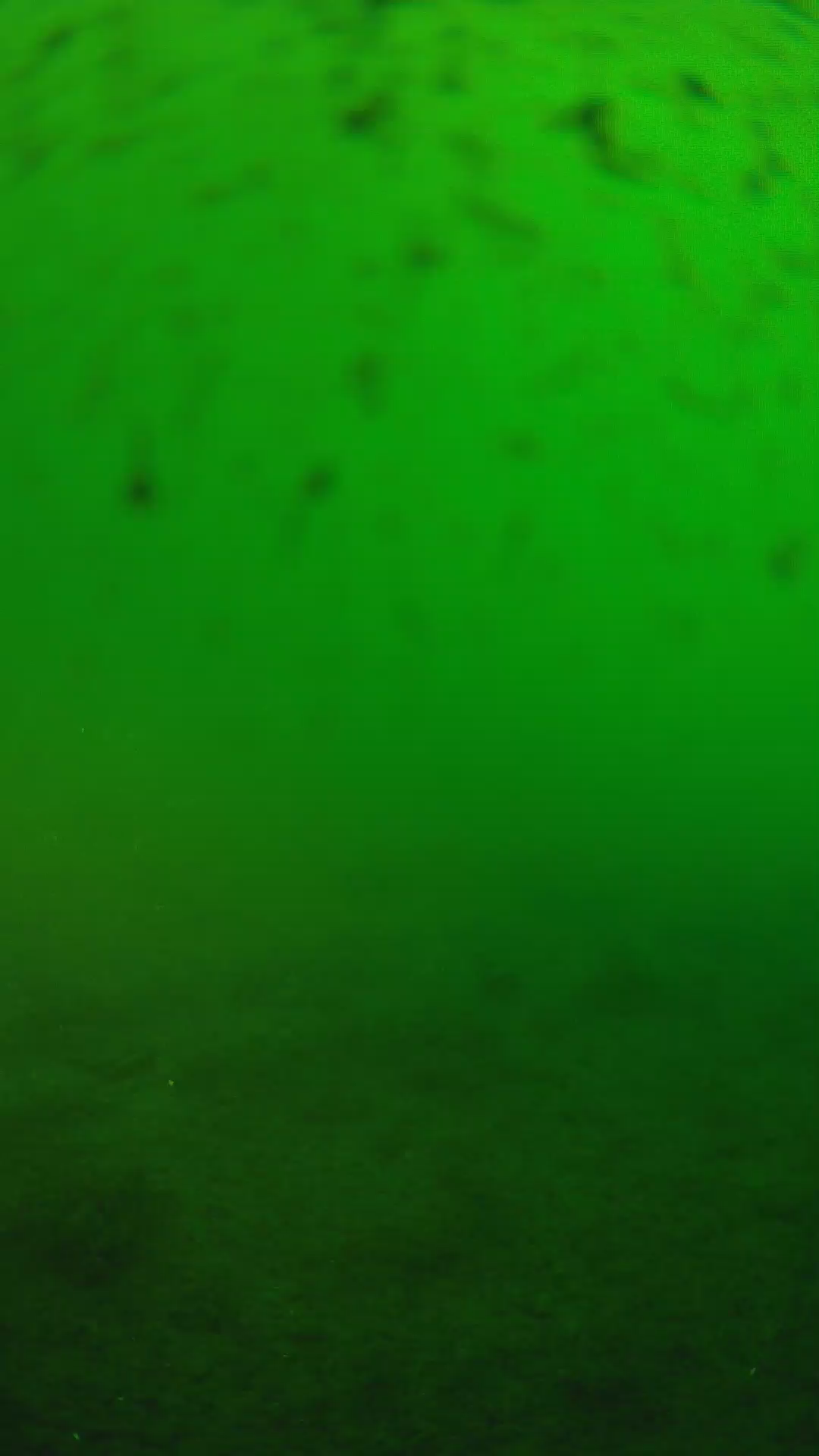 lander_ipcam_20240625173555.png