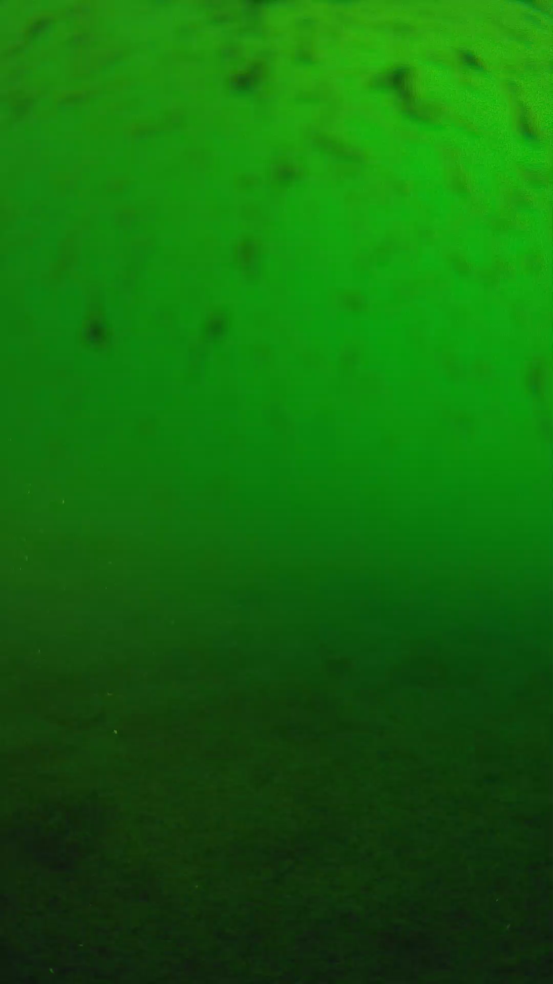 lander_ipcam_20240625180548.png