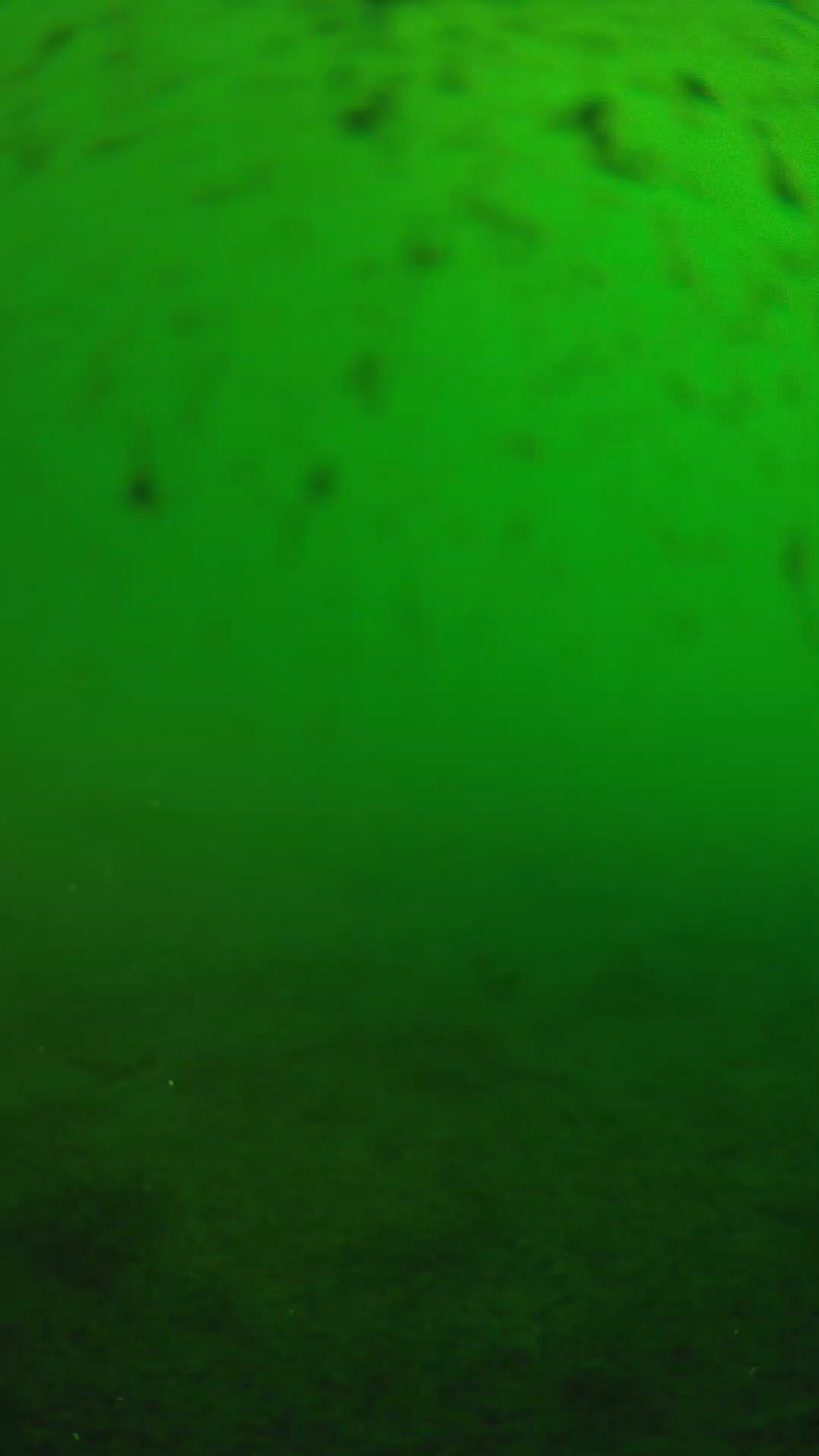 lander_ipcam_20240625180552.png
