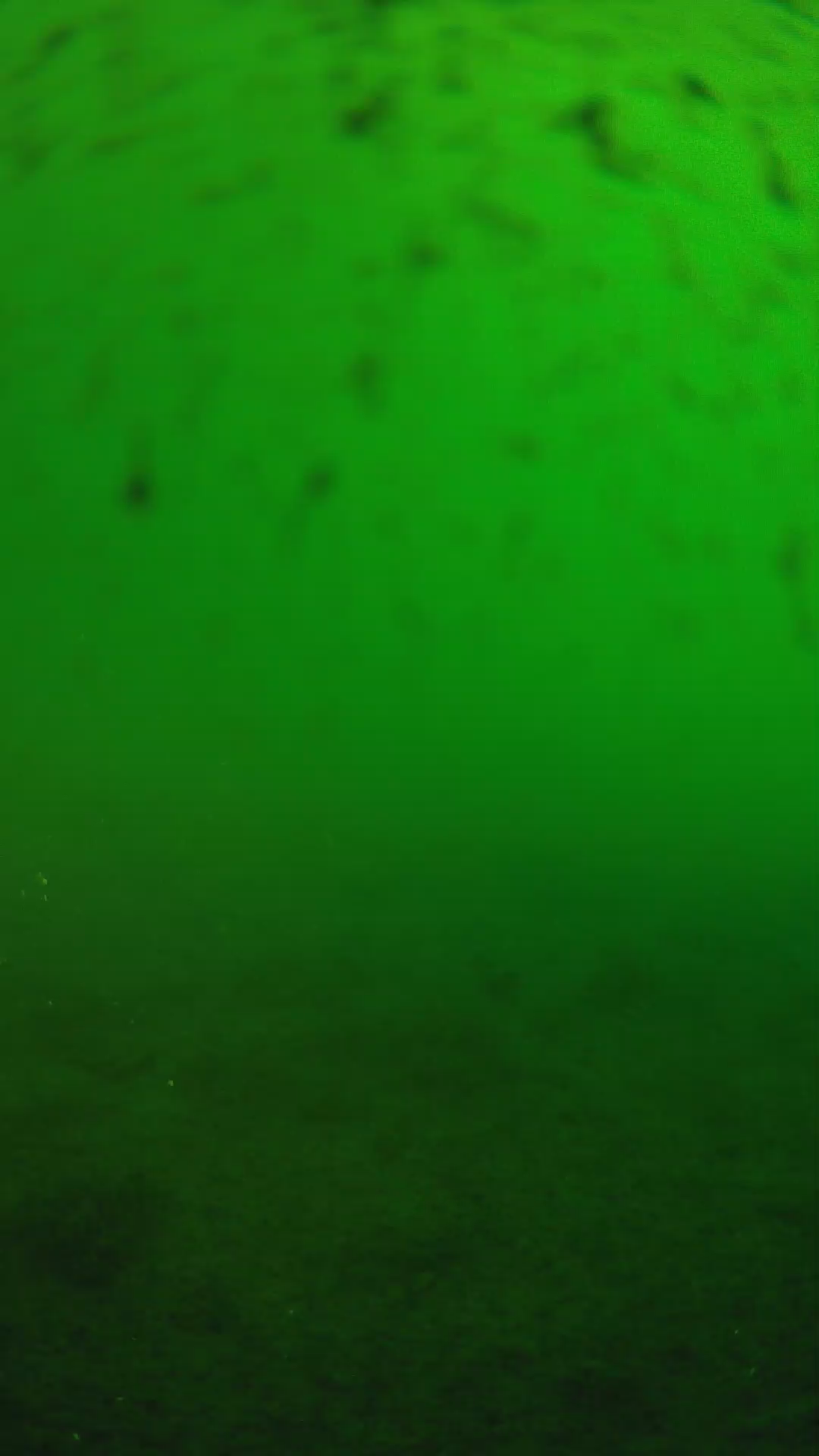 lander_ipcam_20240625180558.png