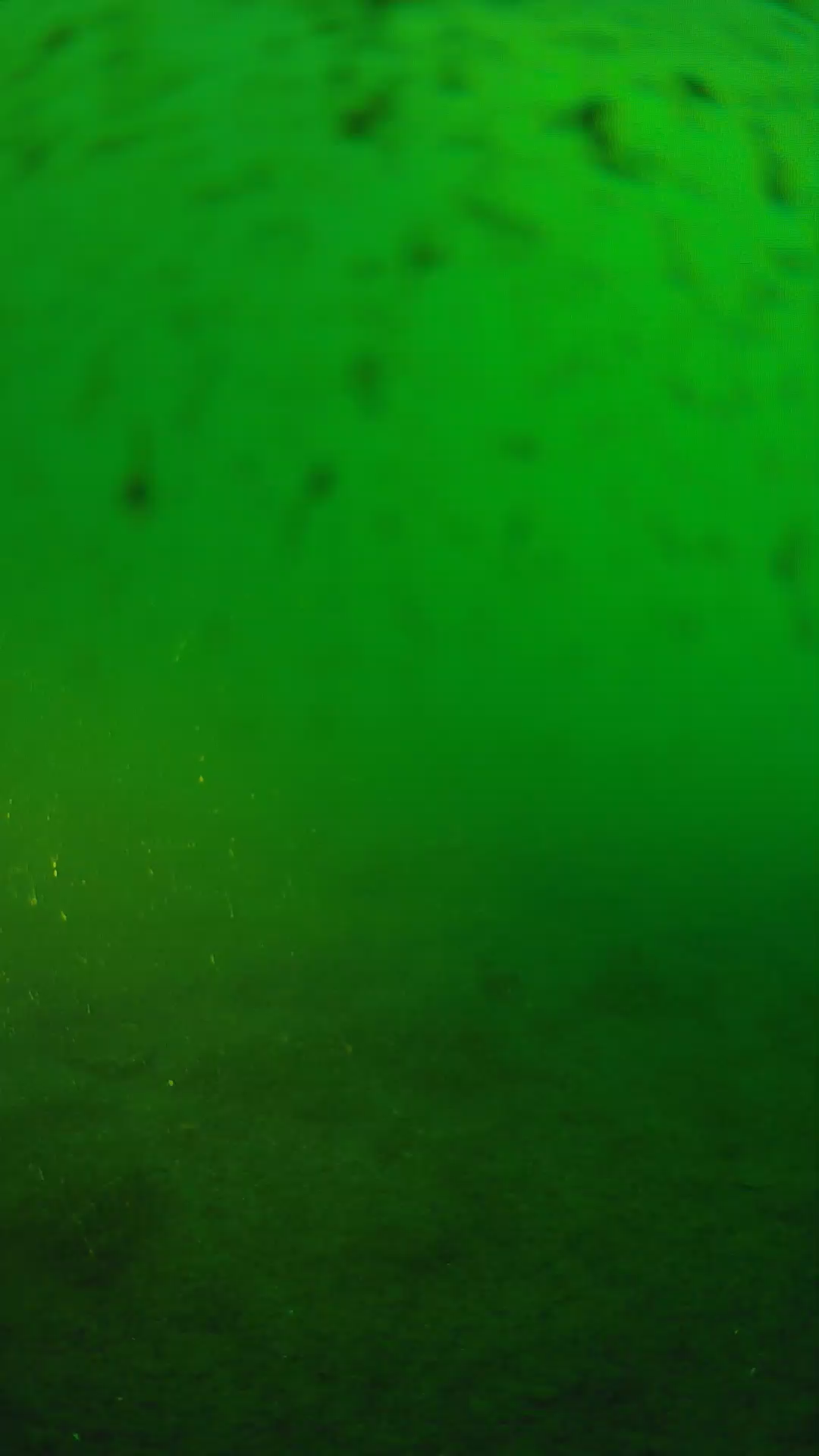lander_ipcam_20240625183538.png