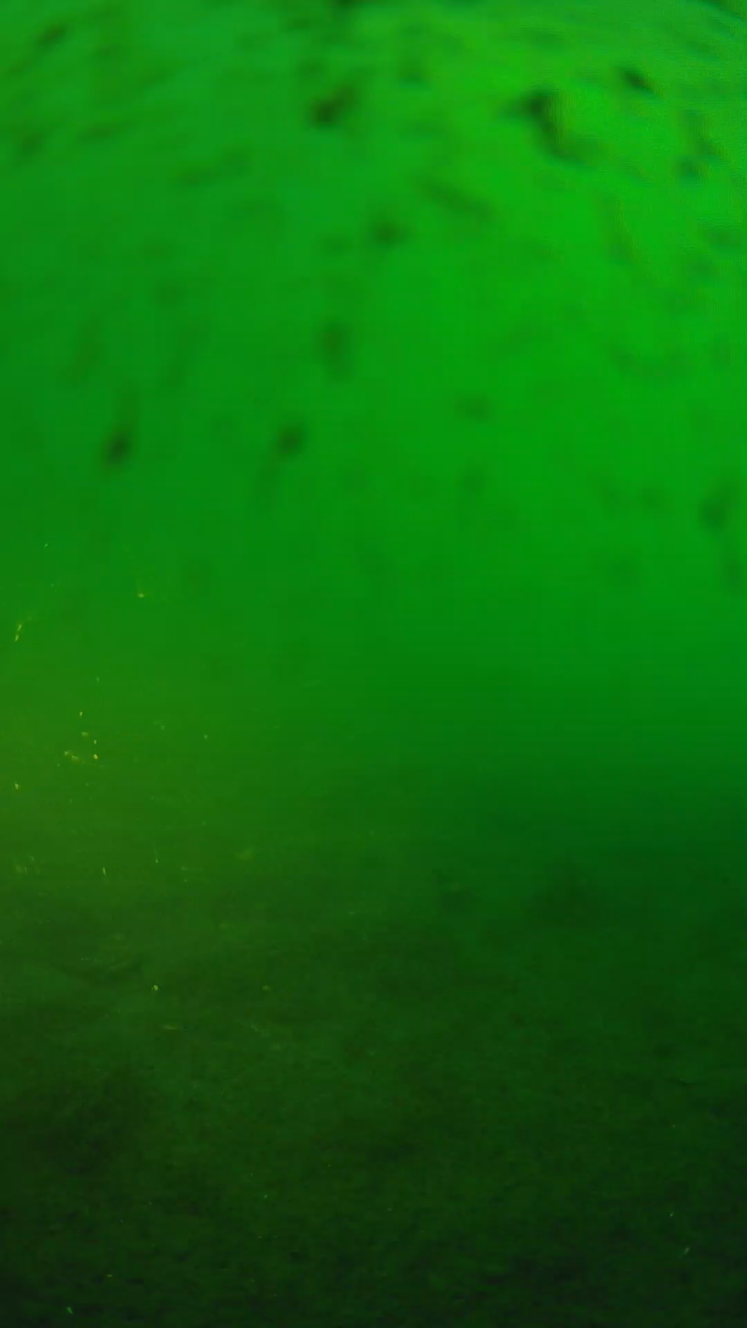 lander_ipcam_20240625183540.png