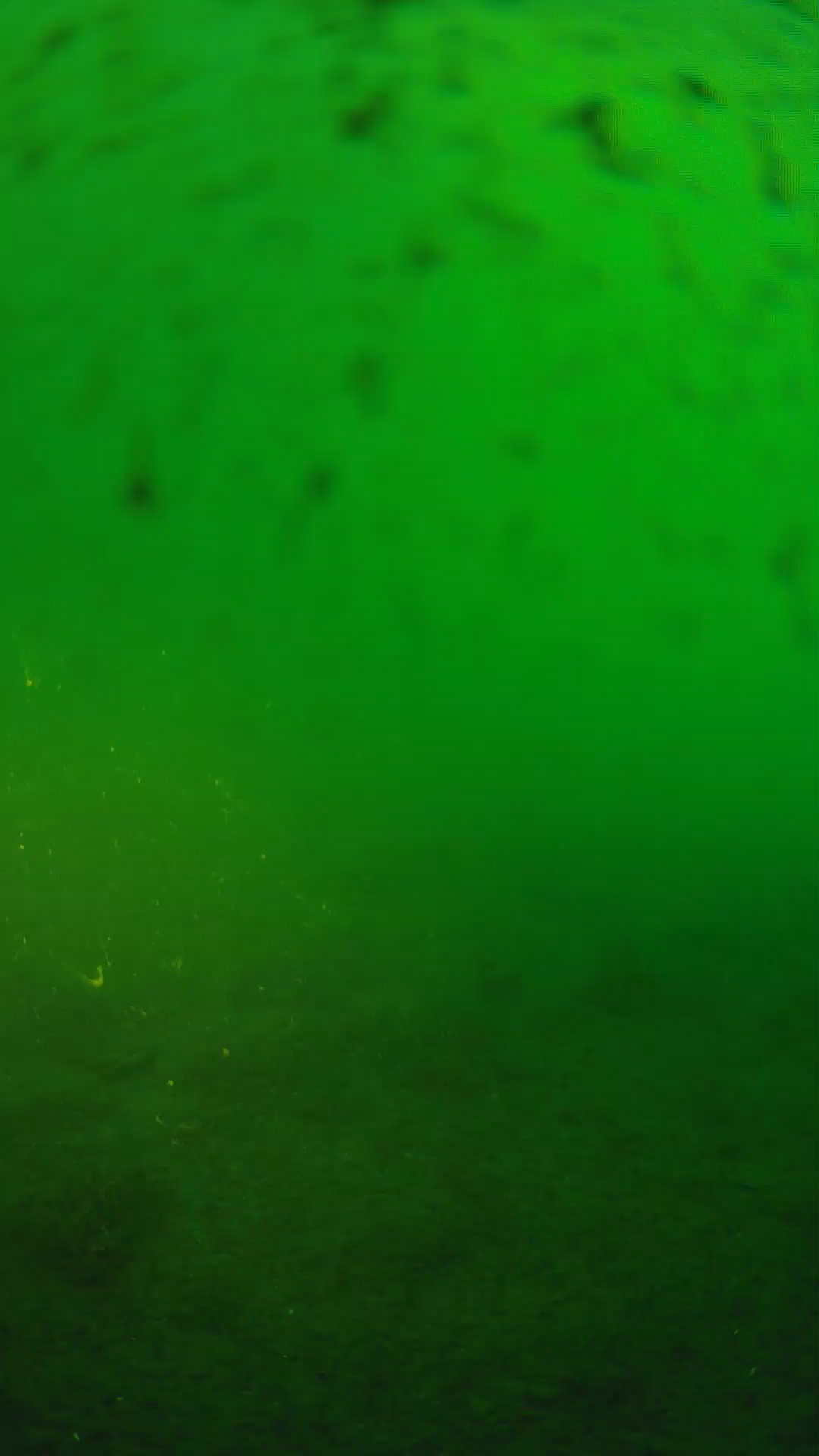 lander_ipcam_20240625183542.png