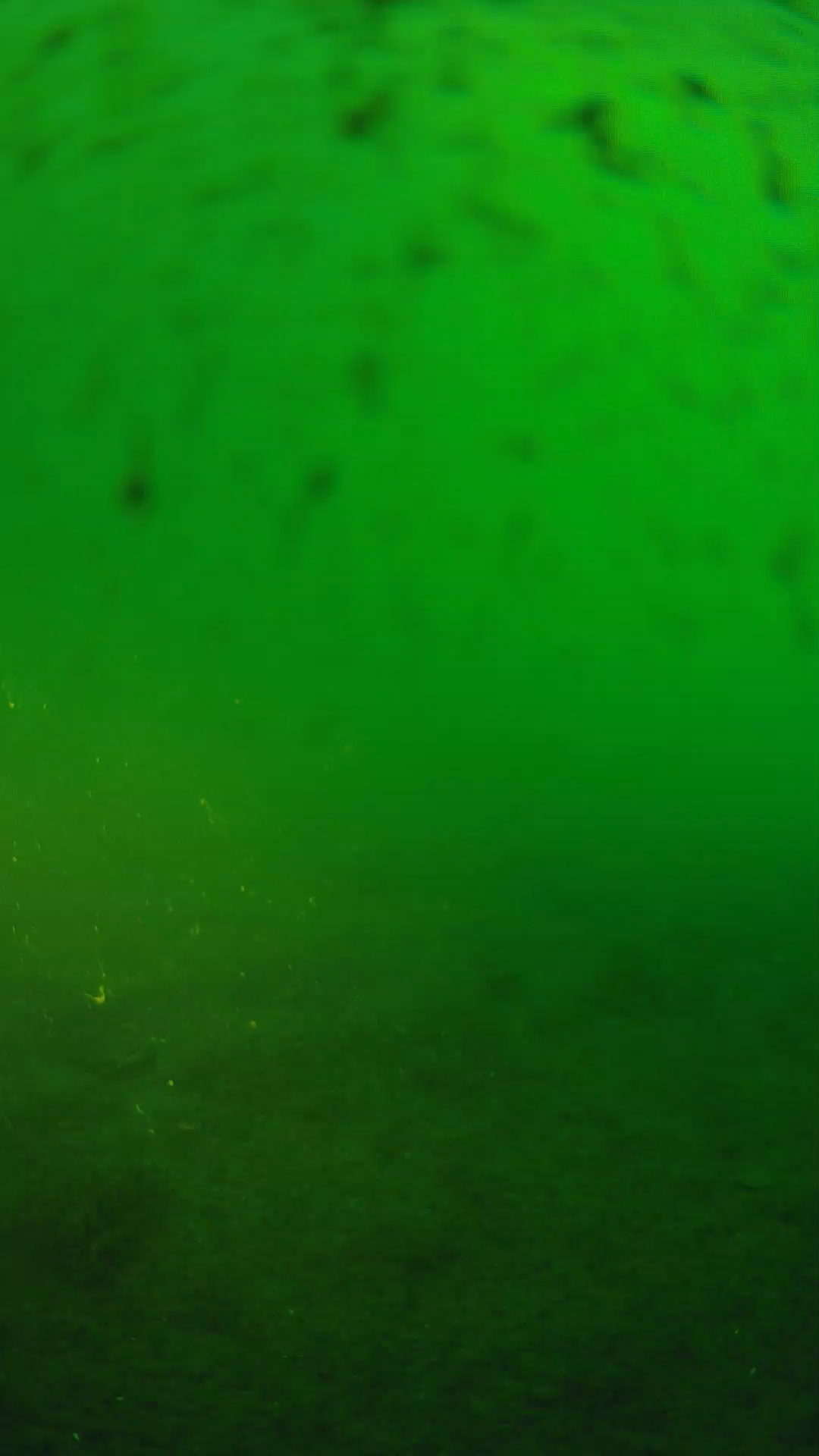 lander_ipcam_20240625183544.png