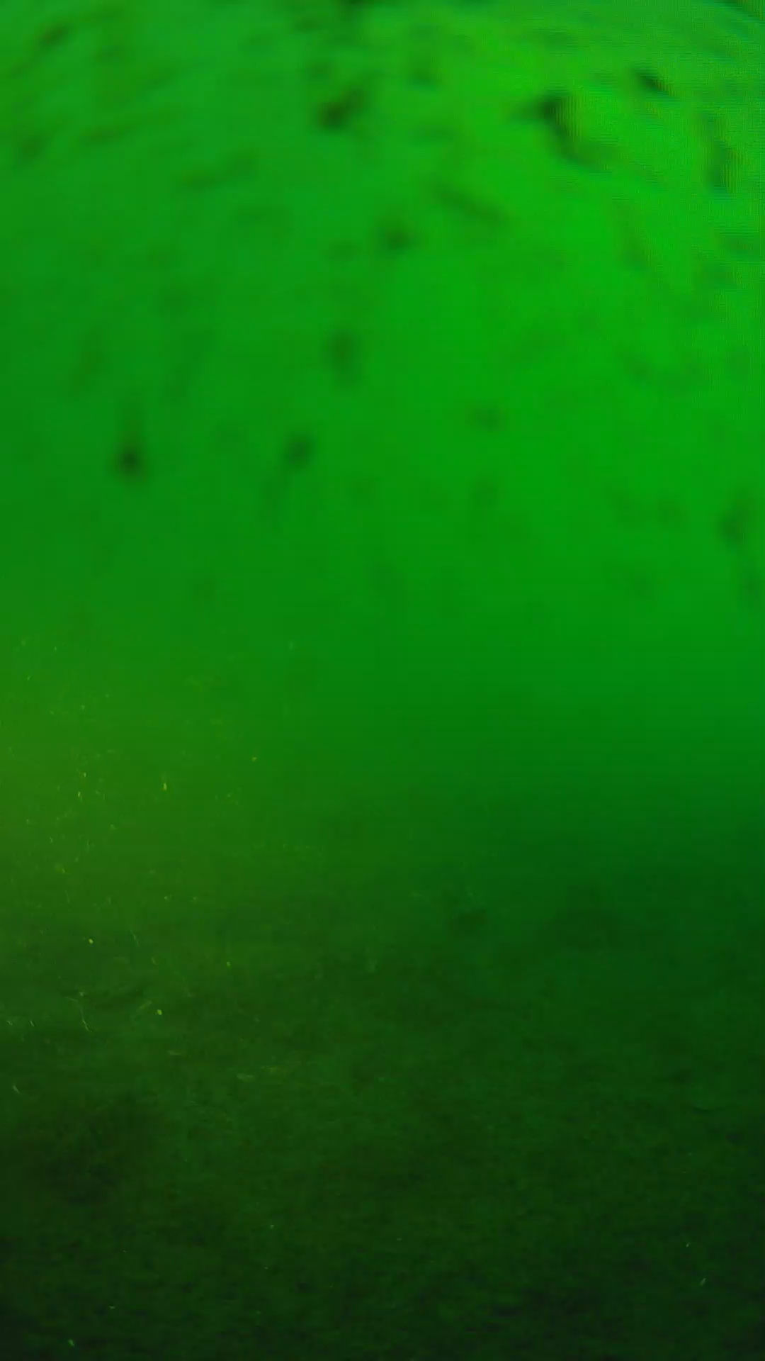 lander_ipcam_20240625183553.png
