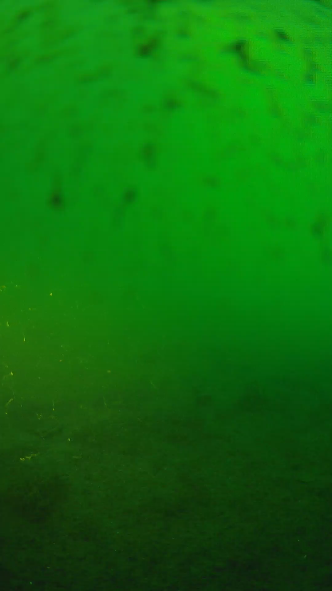 lander_ipcam_20240625183557.png