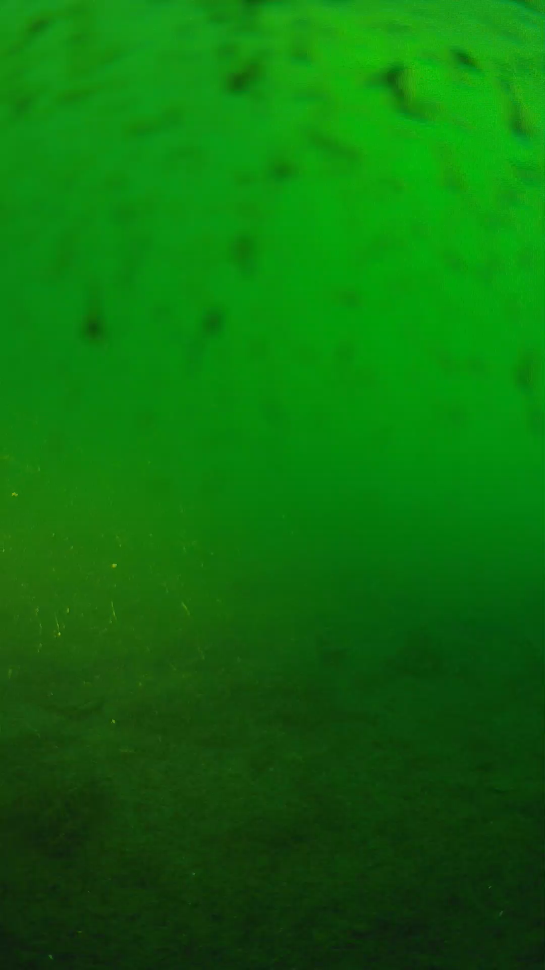 lander_ipcam_20240625183603.png