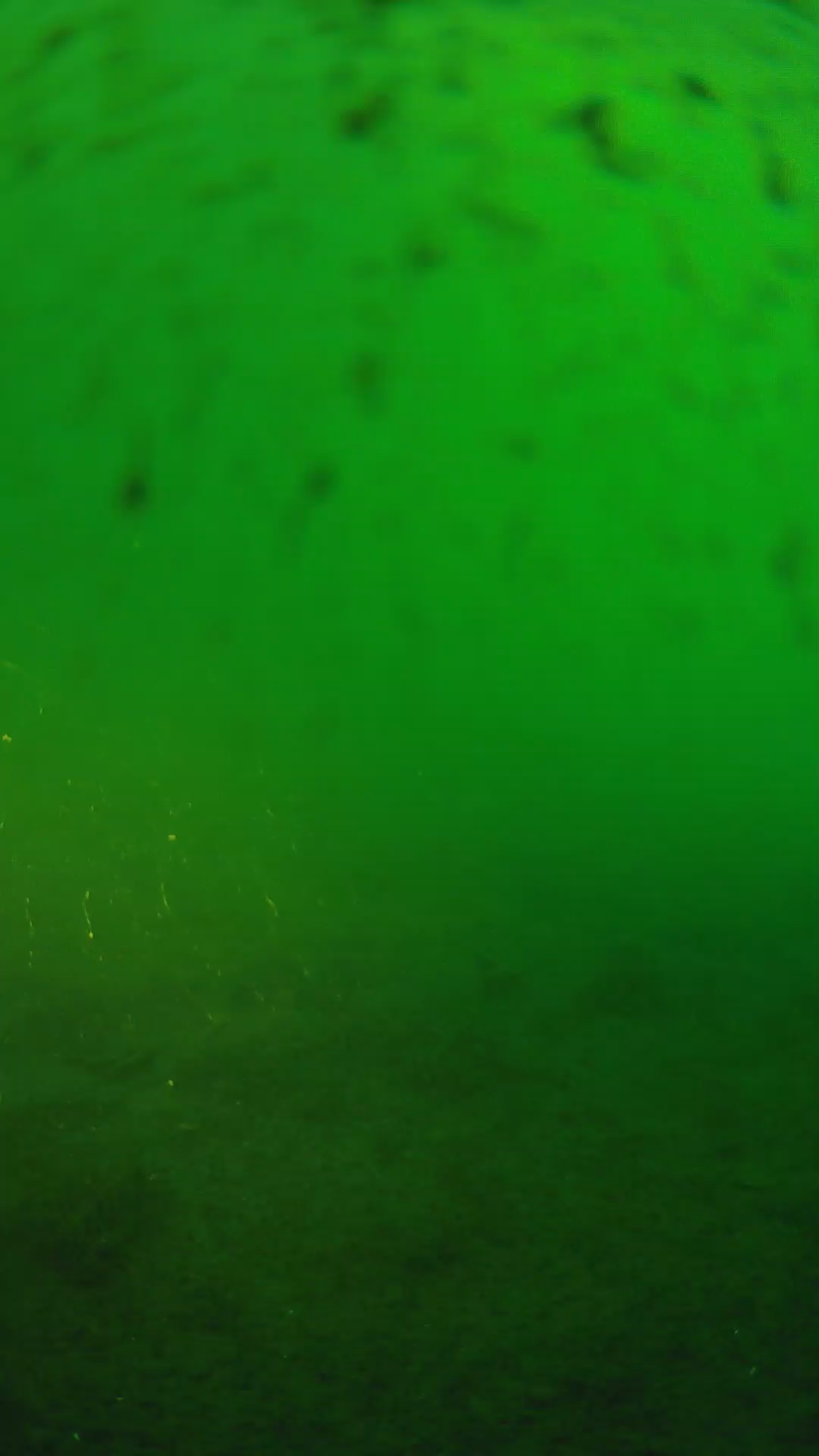 lander_ipcam_20240625183605.png
