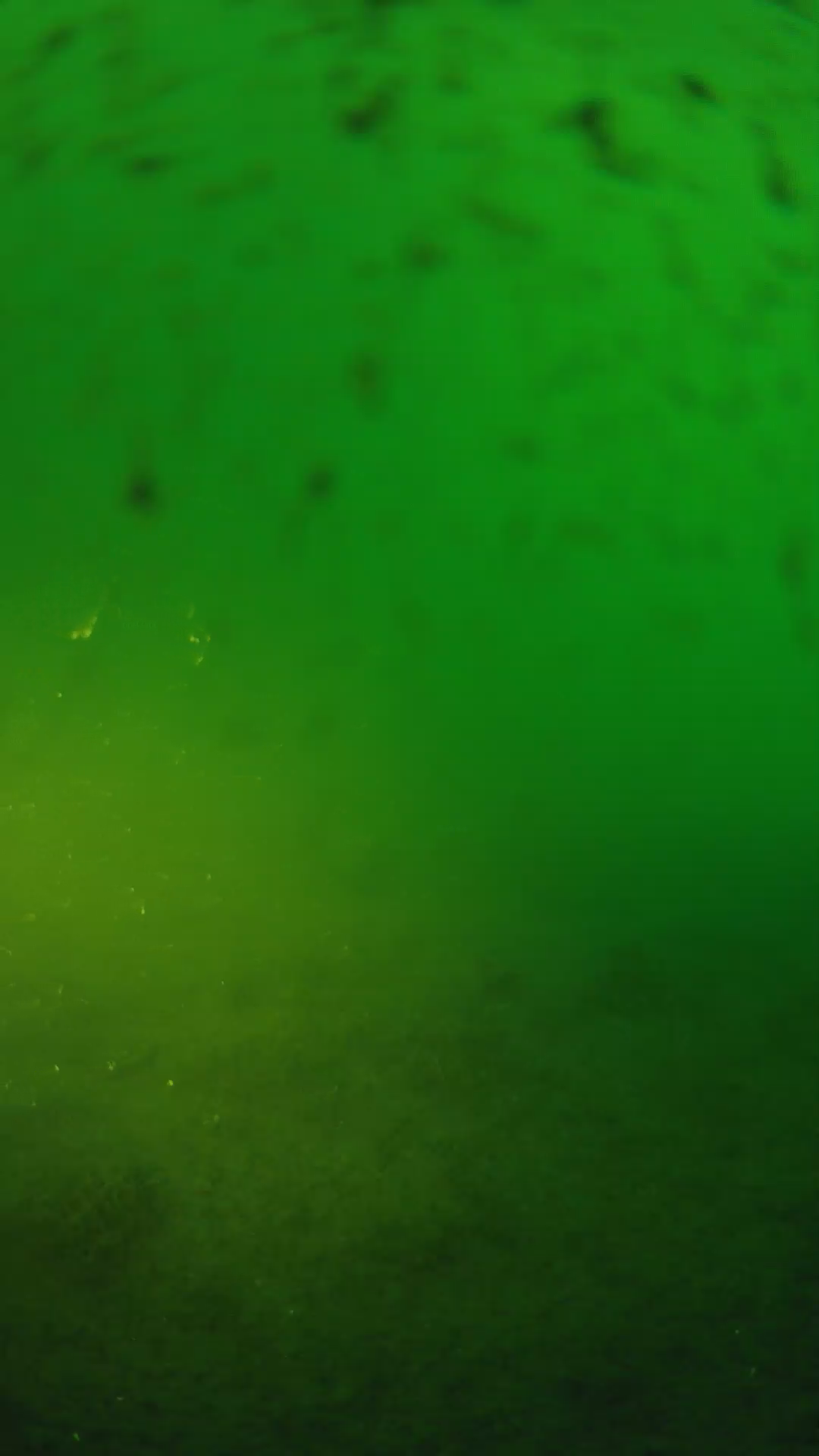 lander_ipcam_20240625190539.png
