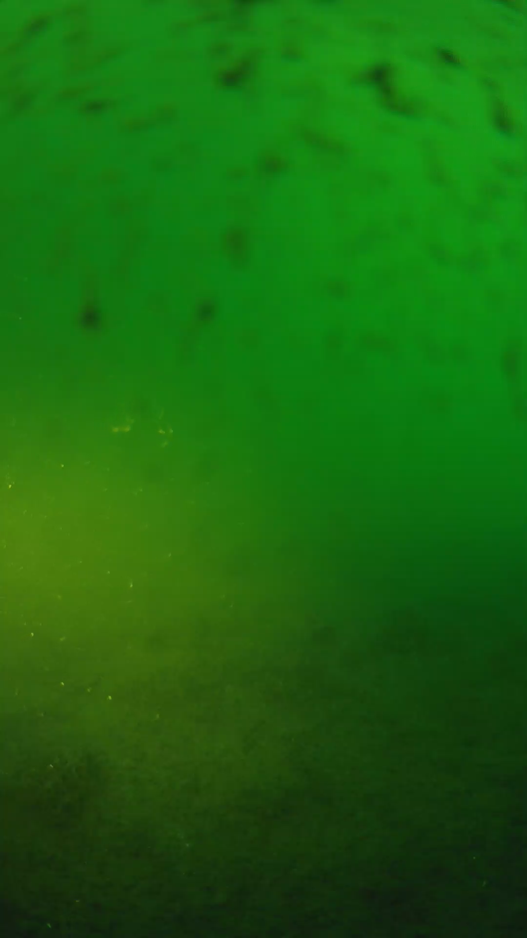 lander_ipcam_20240625190540.png