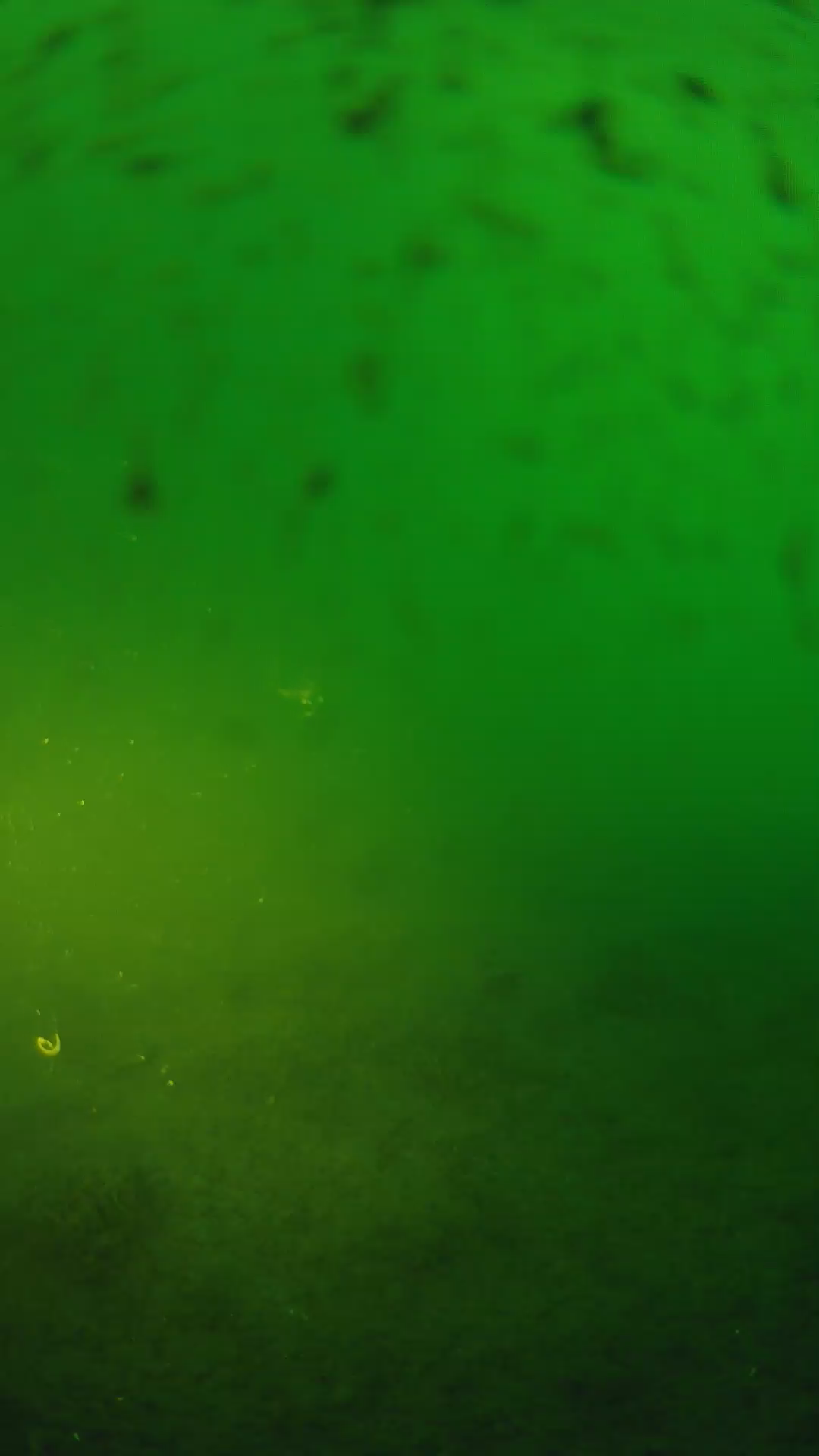 lander_ipcam_20240625190541.png