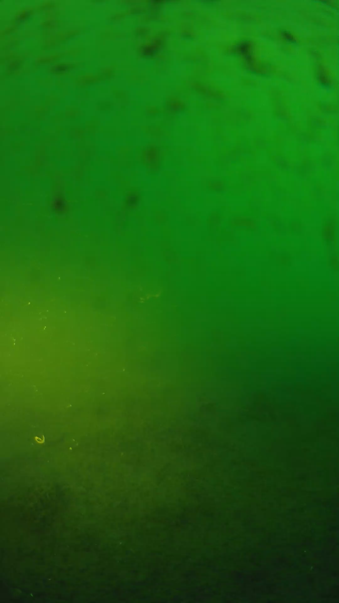 lander_ipcam_20240625190542.png