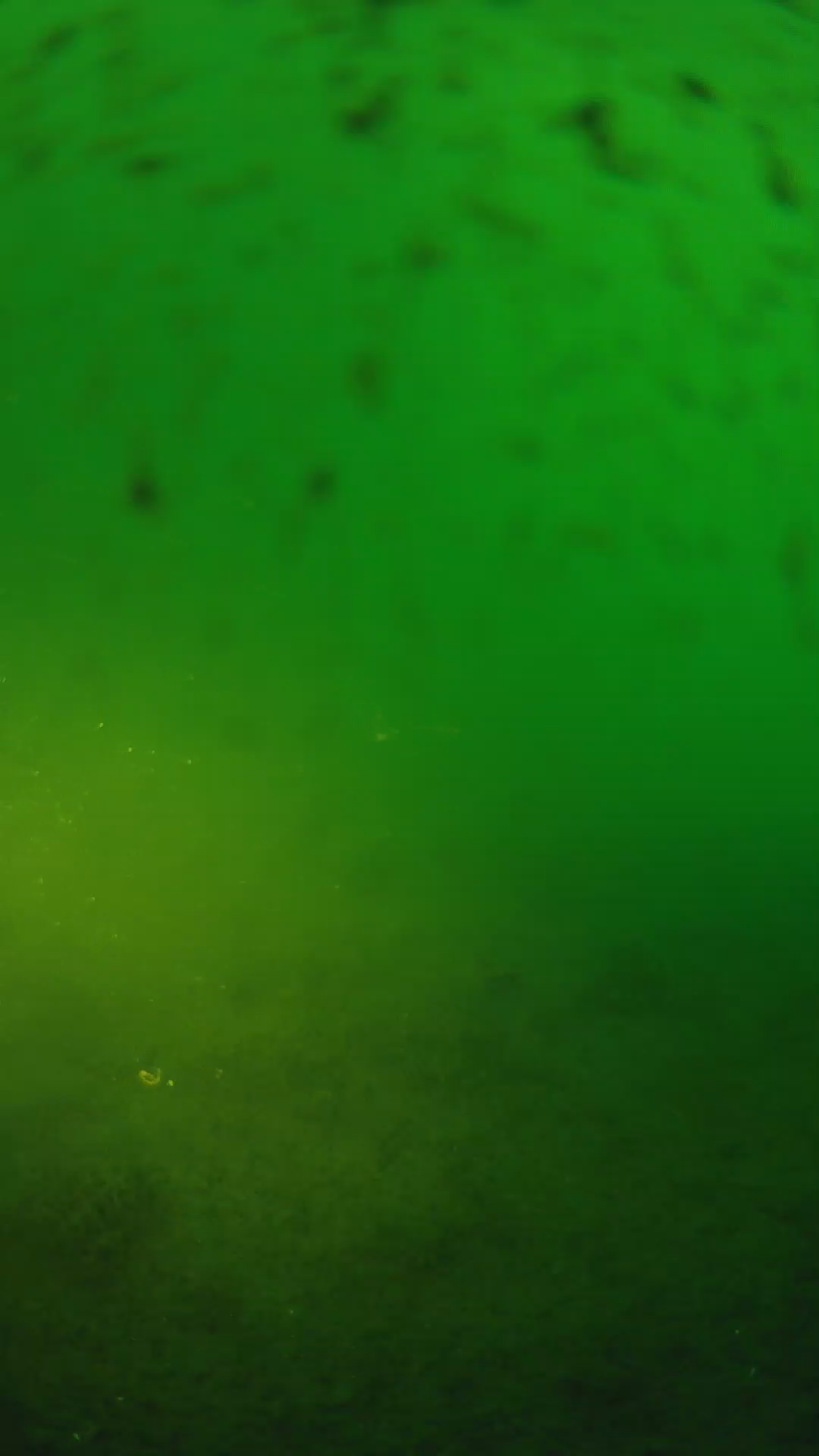 lander_ipcam_20240625190543.png