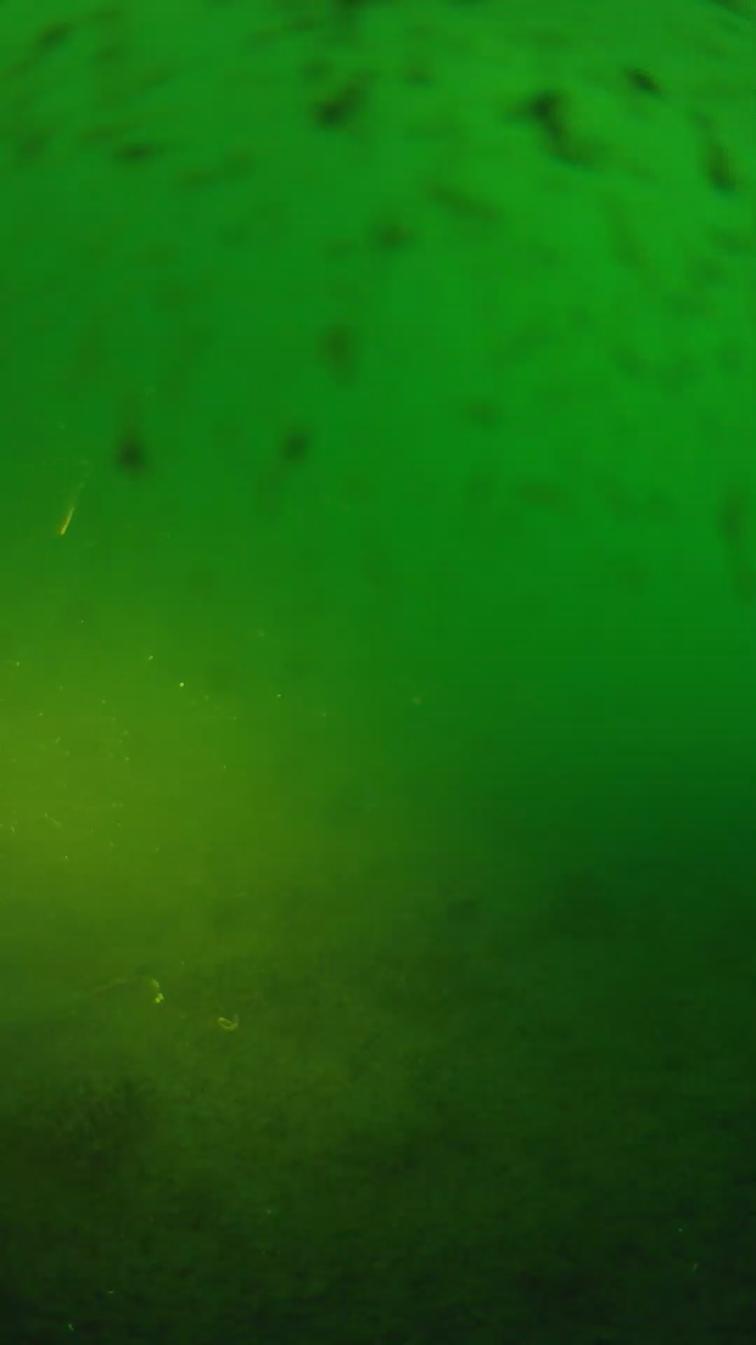 lander_ipcam_20240625190545.png