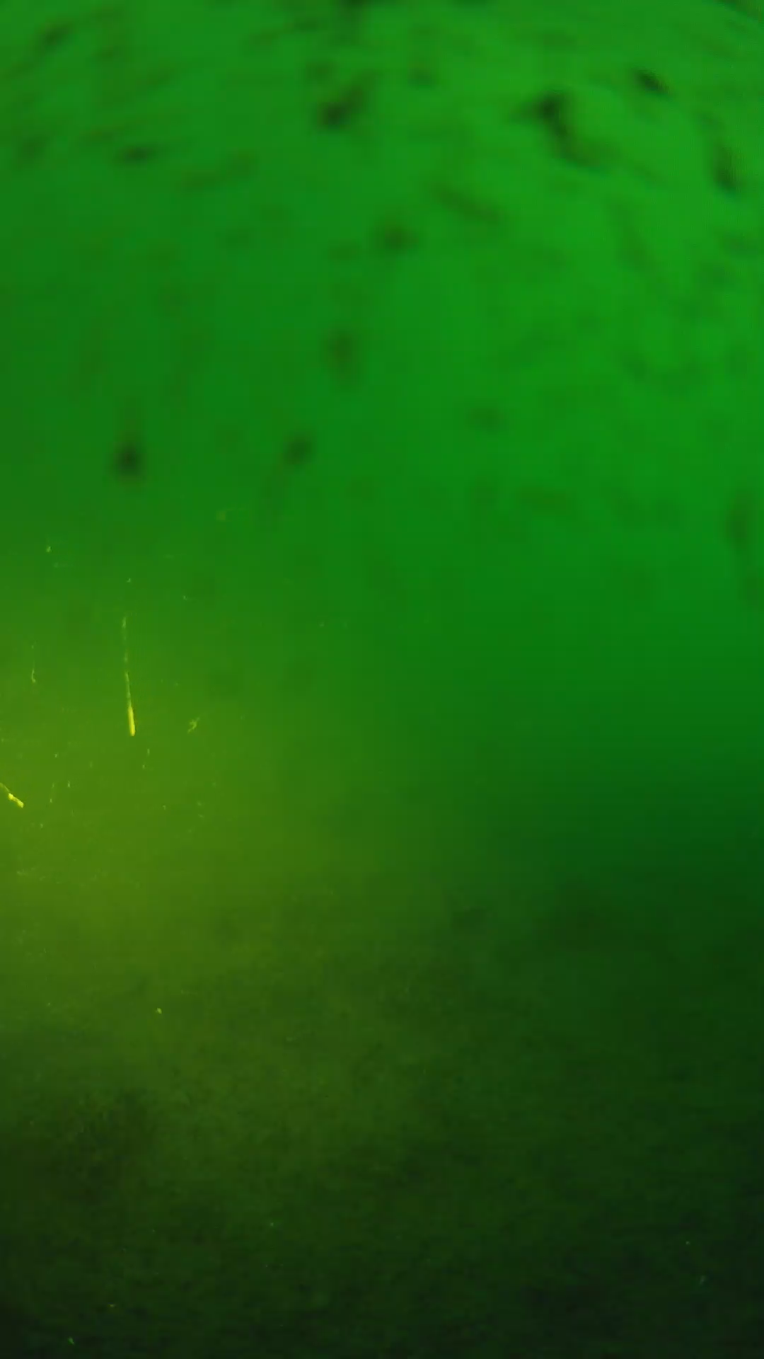 lander_ipcam_20240625190557.png