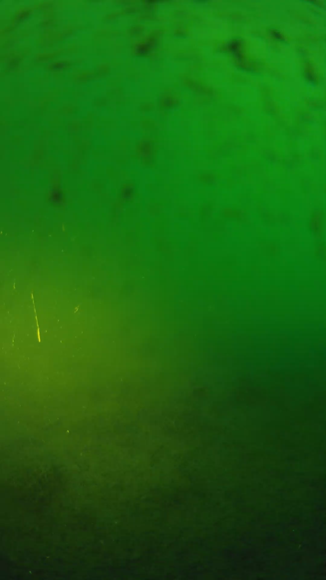 lander_ipcam_20240625190559.png