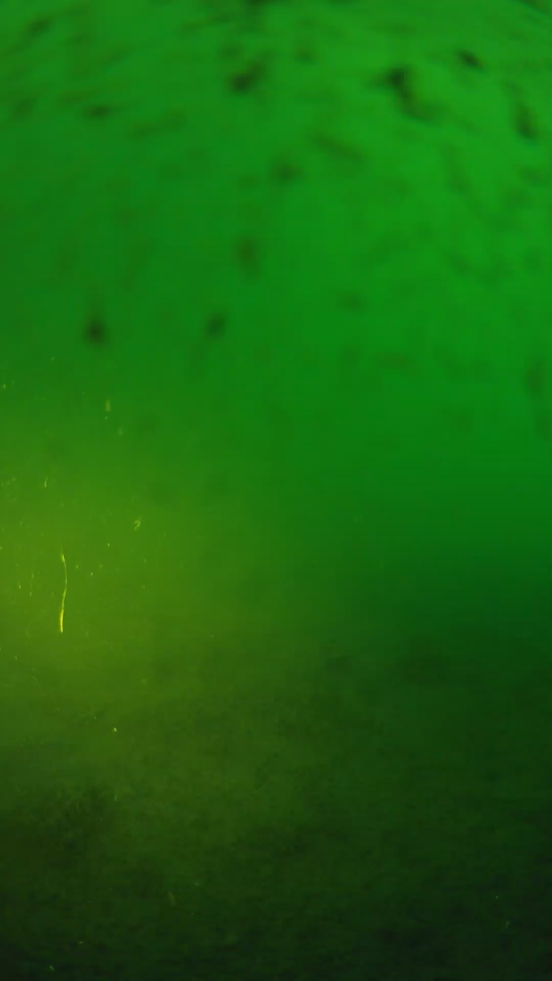 lander_ipcam_20240625190601.png
