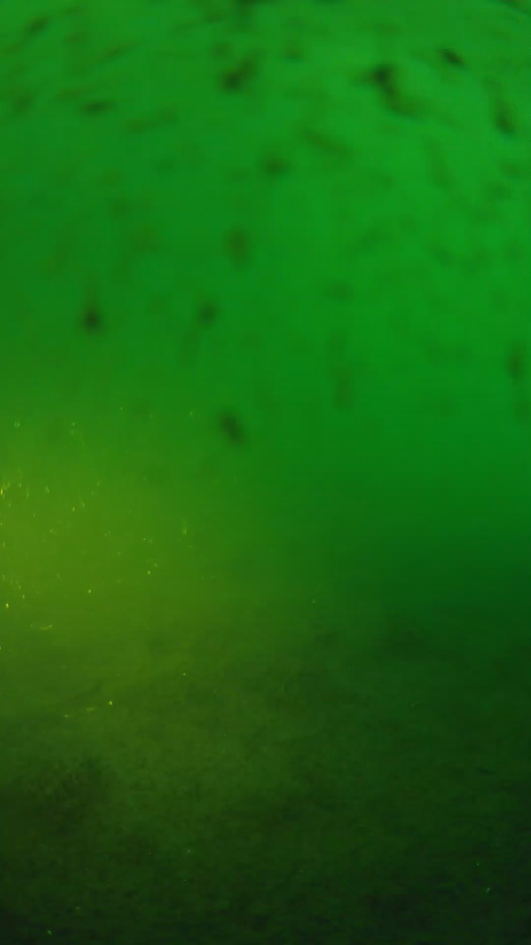 lander_ipcam_20240625193543.png
